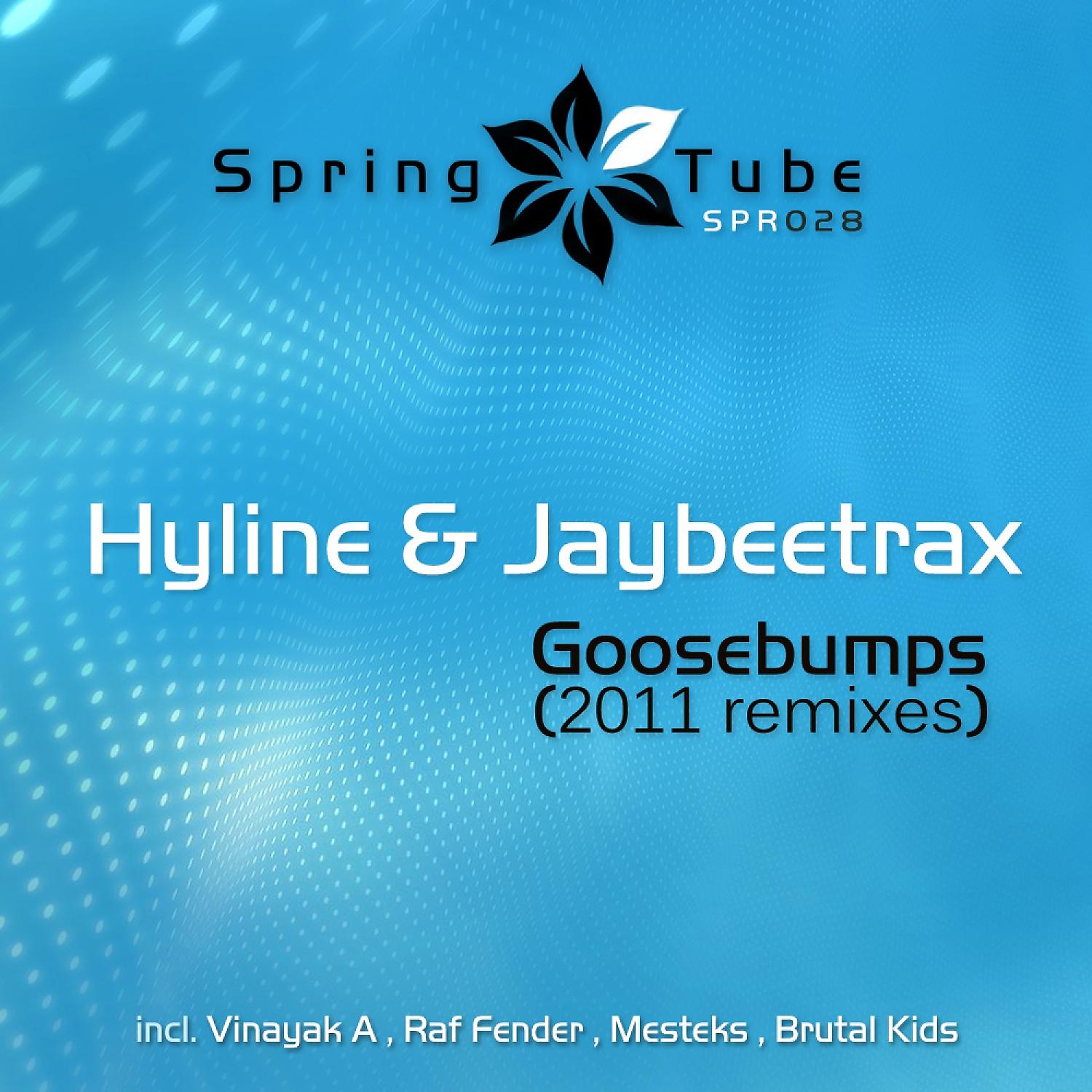 Постер альбома Goosebumps (2011 Remixes)