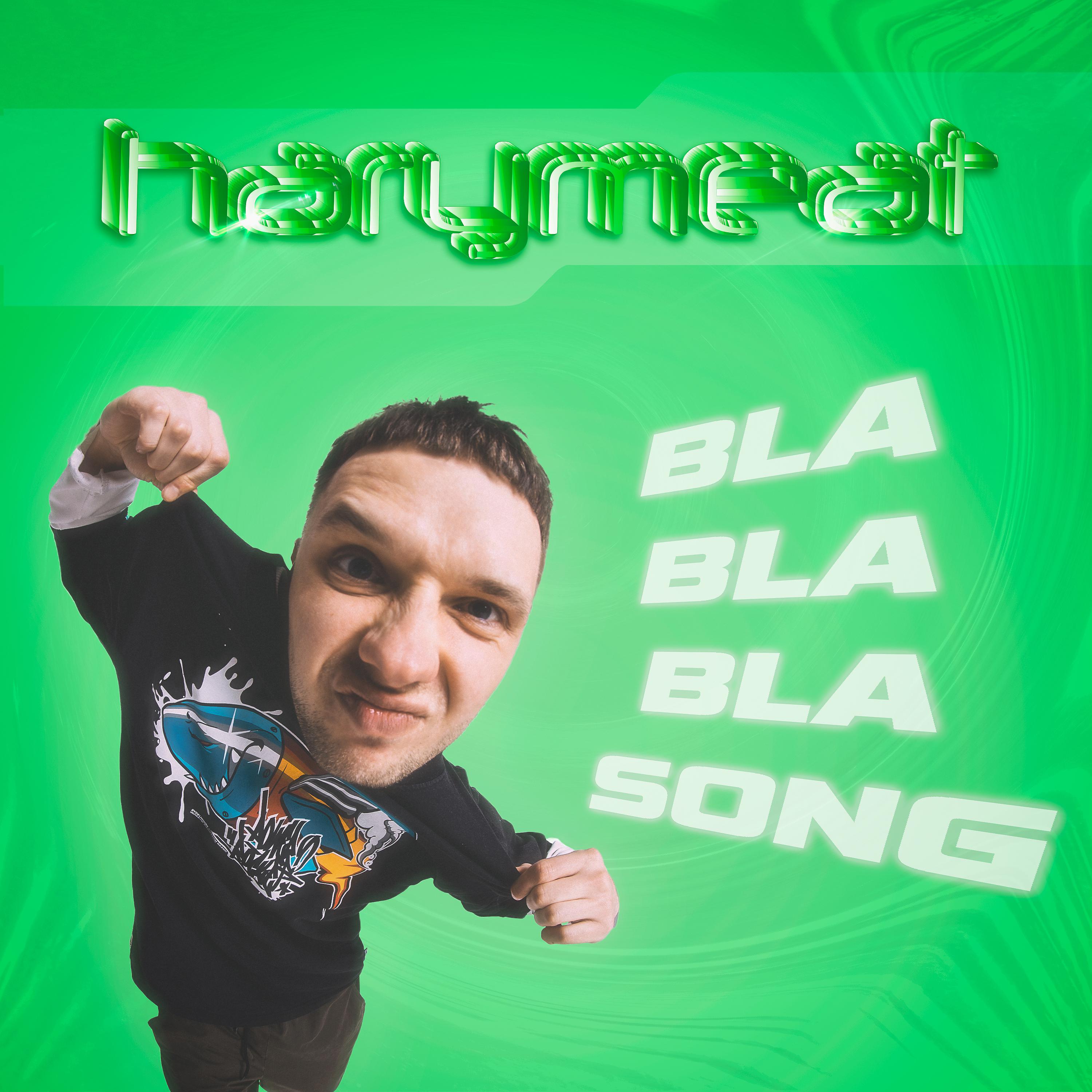 Постер альбома Bla Bla Bla Song
