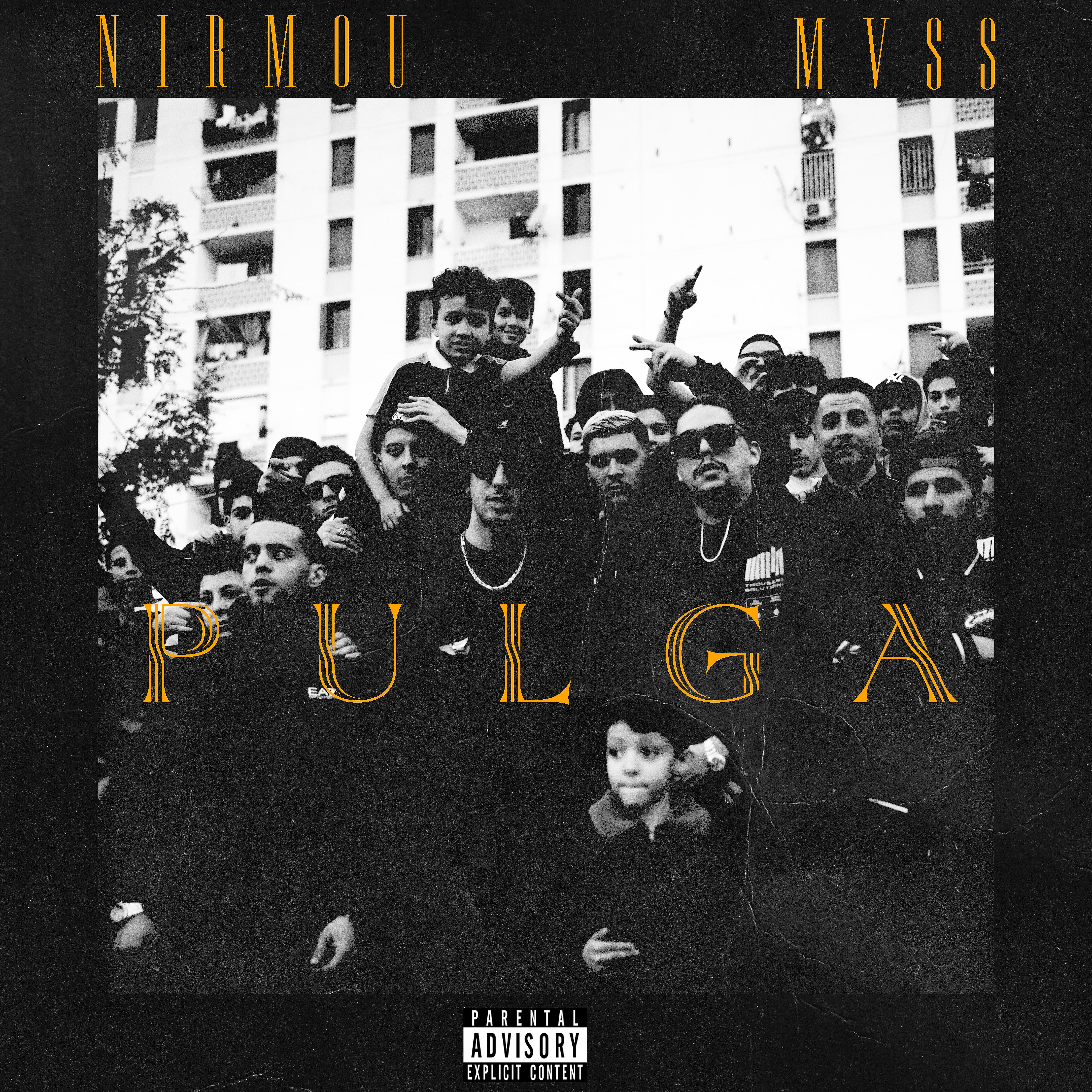 Постер альбома Pulga