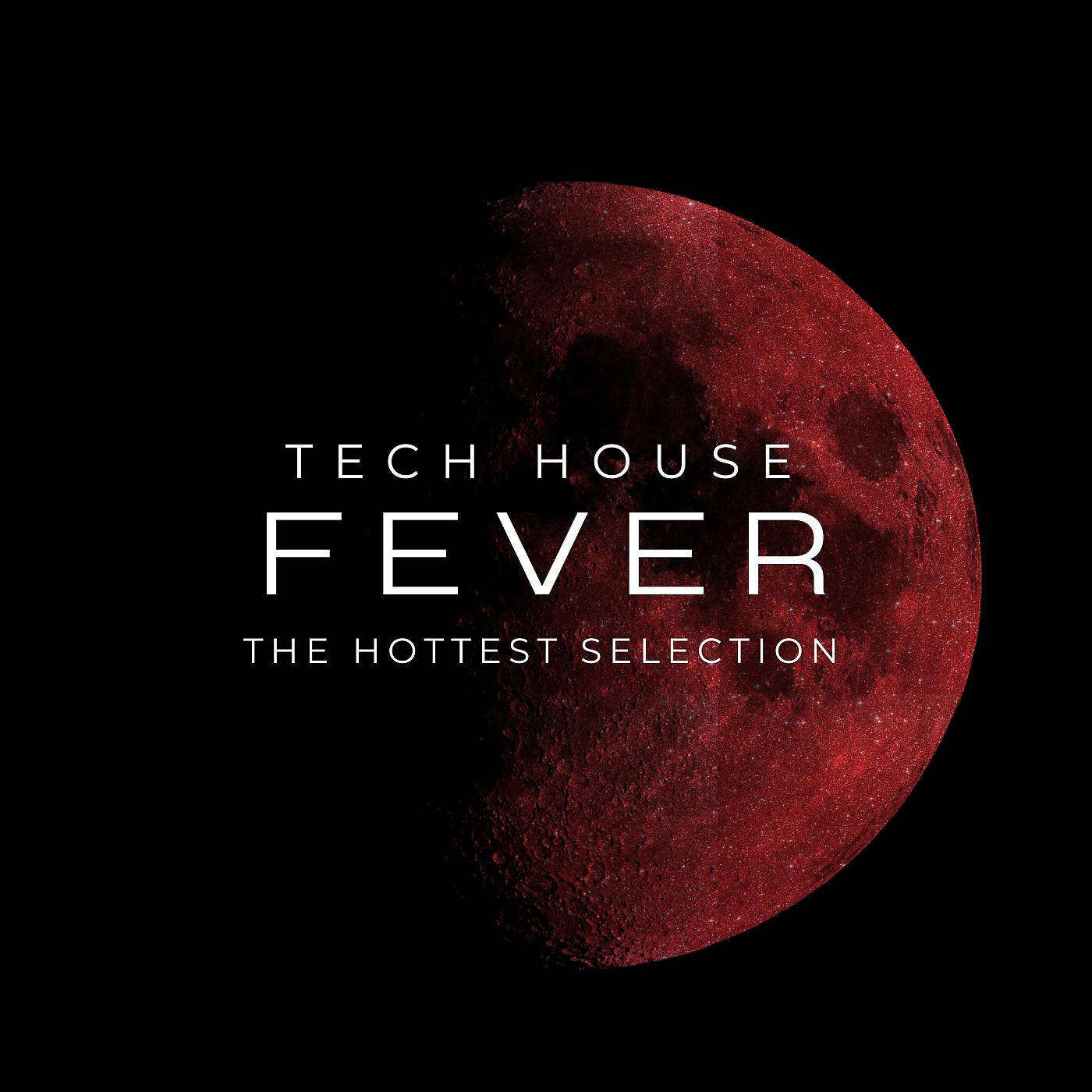 Постер альбома Tech House Fever