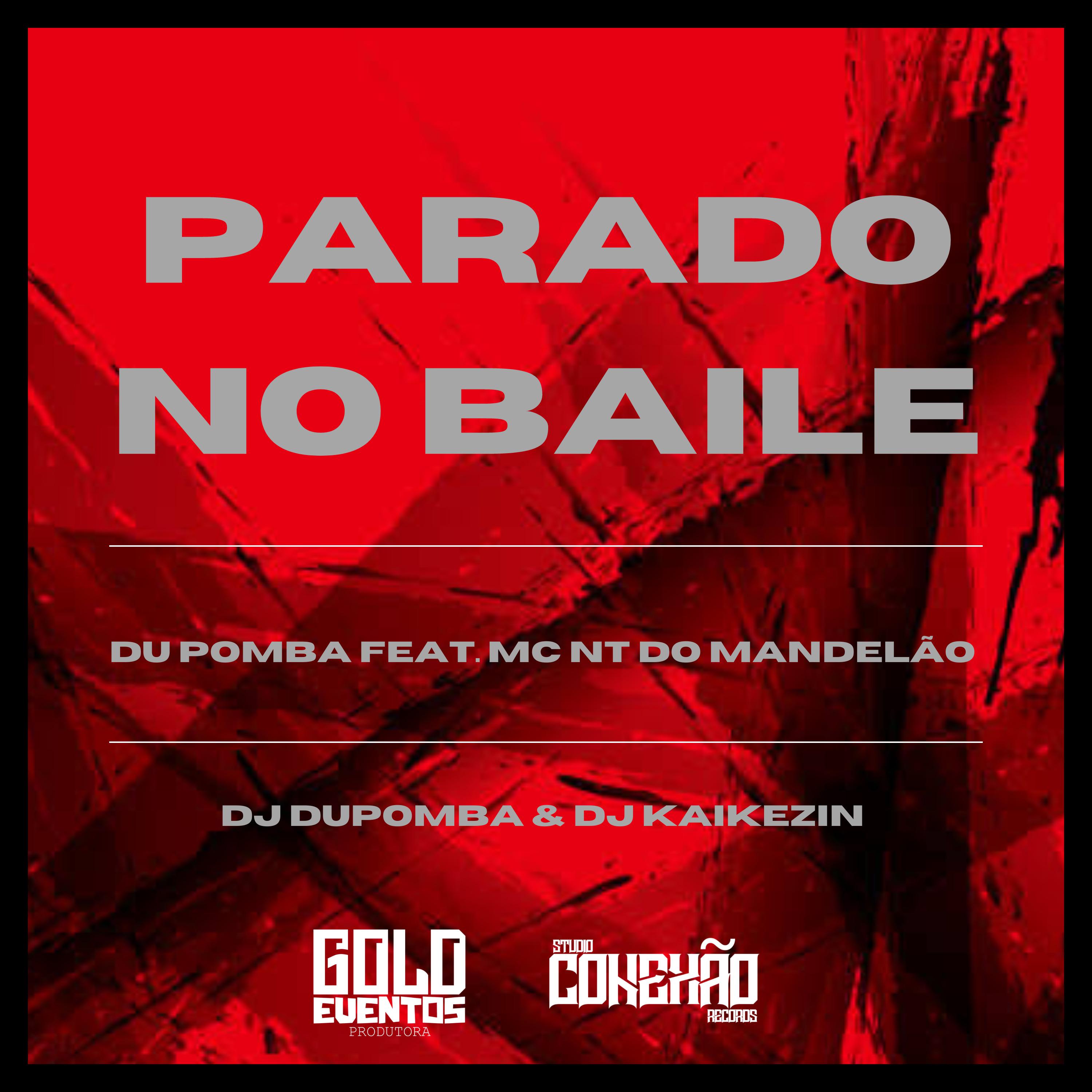 Постер альбома Parado no Baile