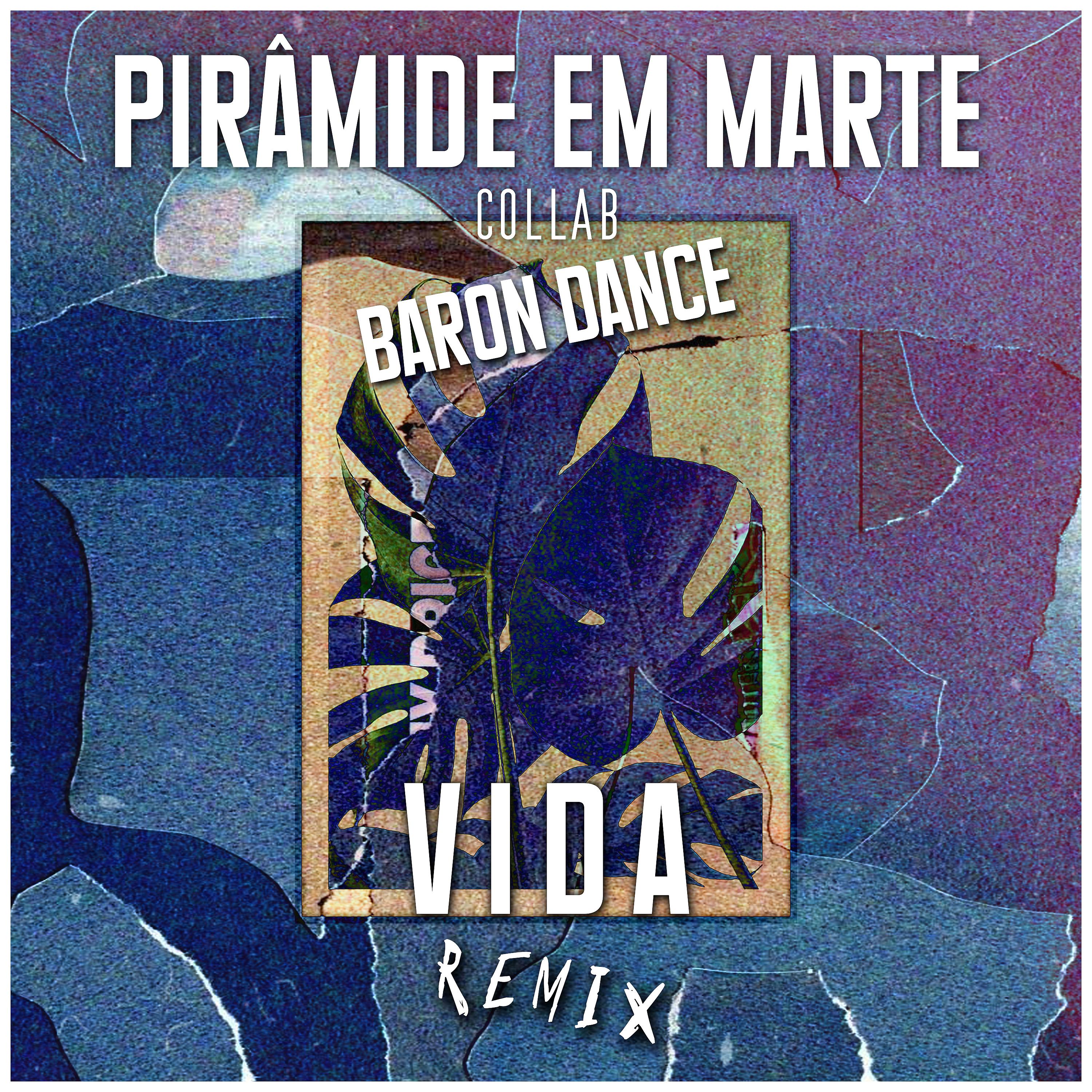 Постер альбома Vida (Remix)