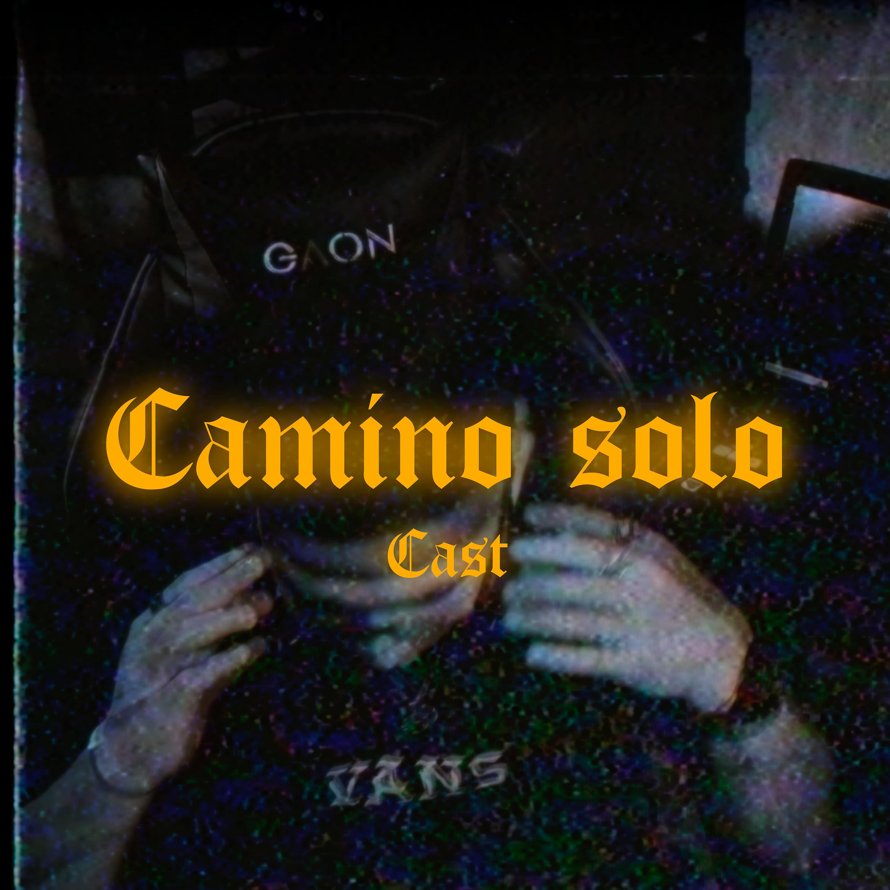 Постер альбома Camino Solo