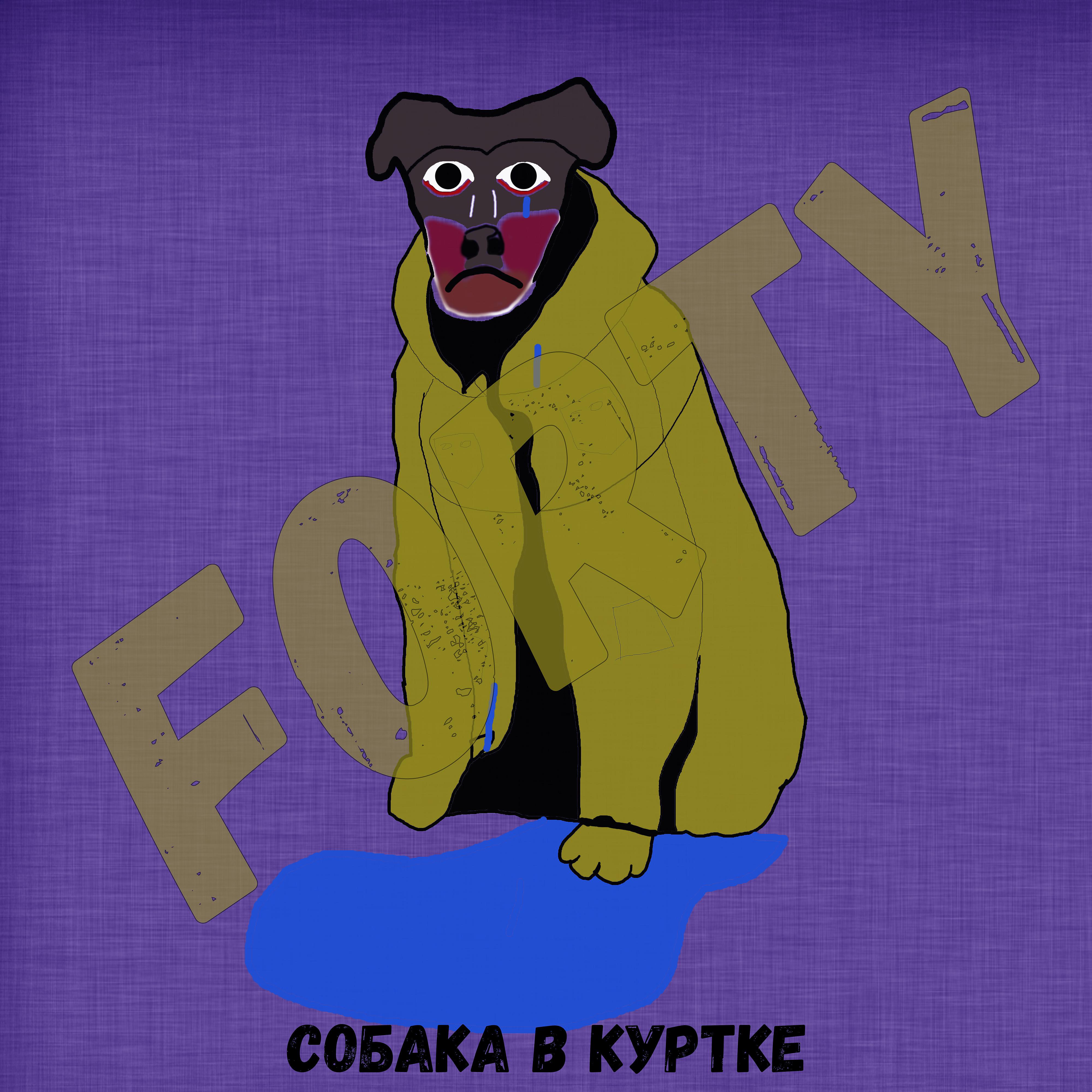 Постер альбома Собака в куртке