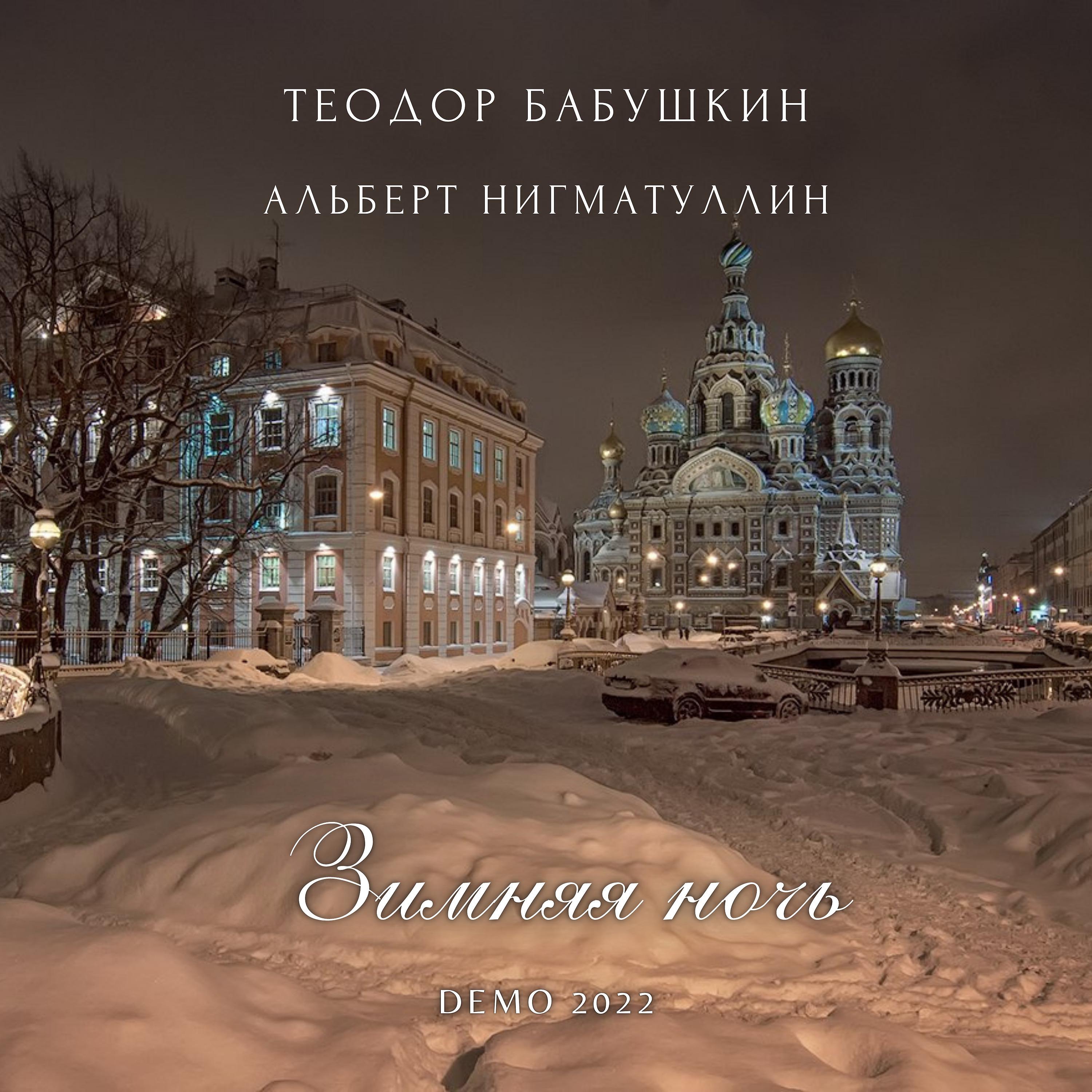 Постер альбома Зимняя ночь
