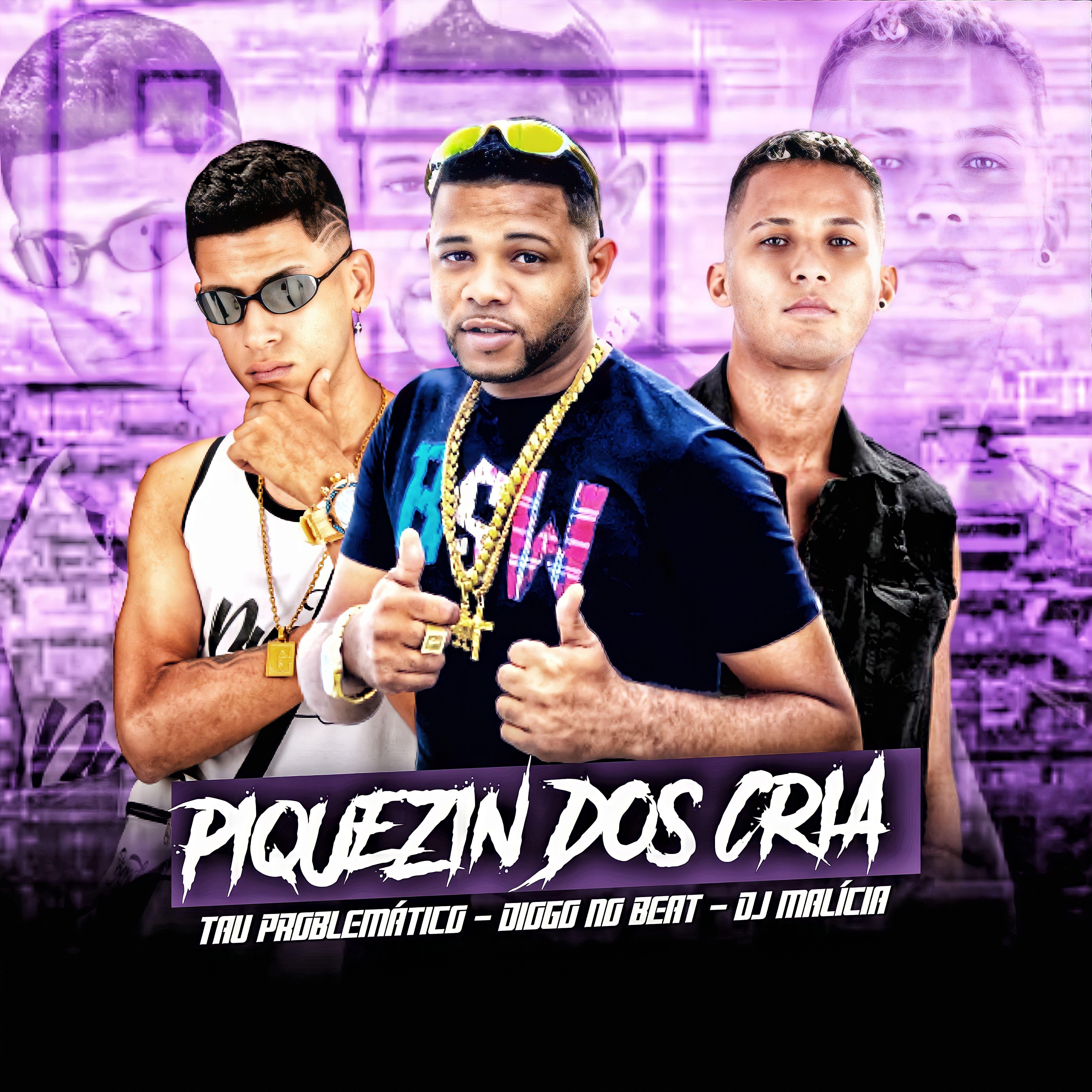 Постер альбома Piquezin dos Cria