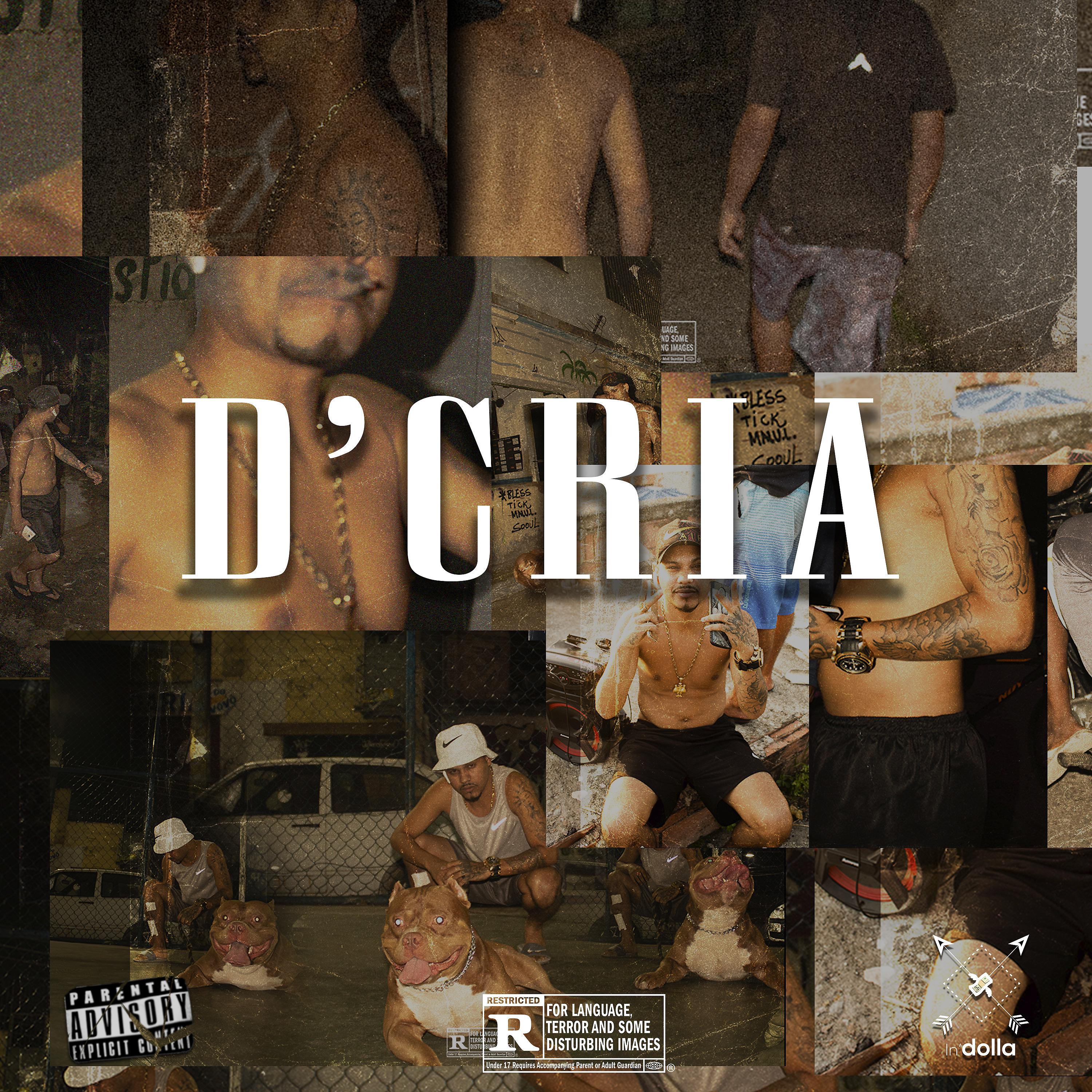 Постер альбома D'cria