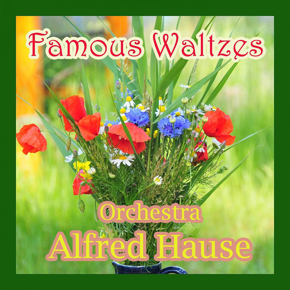 Постер альбома Famous Waltzes