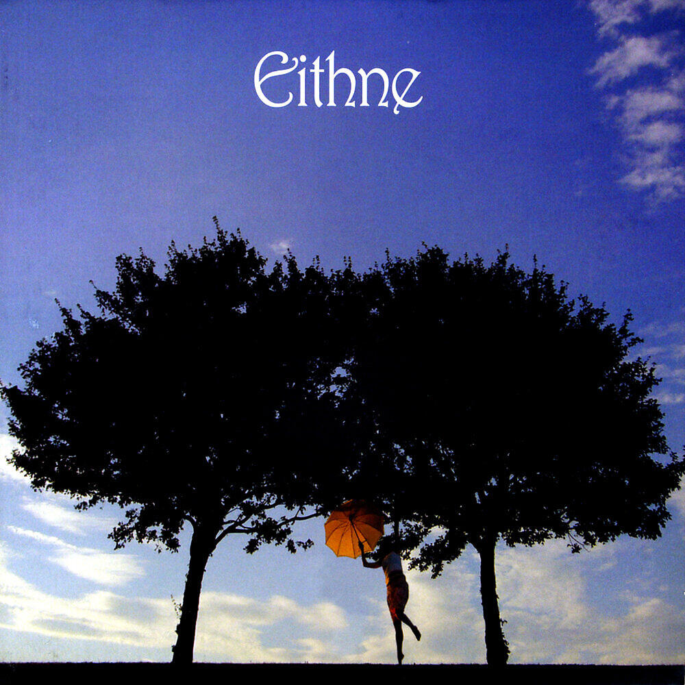 Eithne Ní Chatháin - Fáinne Geal an Lae, Andy McGann\'s, The 4 Courts