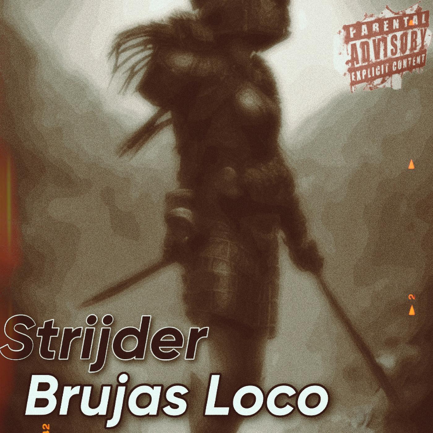 Постер альбома Strijder