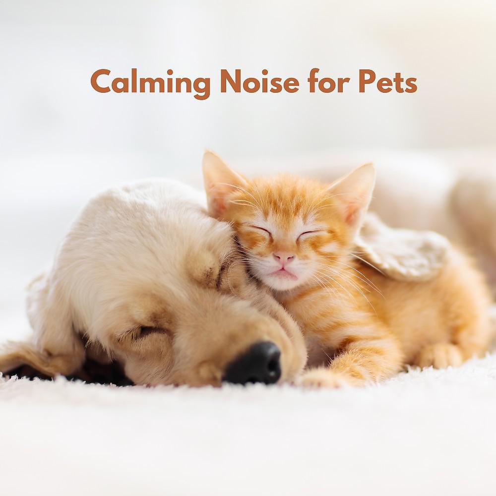 Постер альбома Calming Noise for Pets