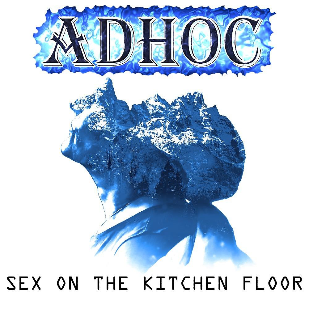 Постер альбома Sex on the Kitchen Floor