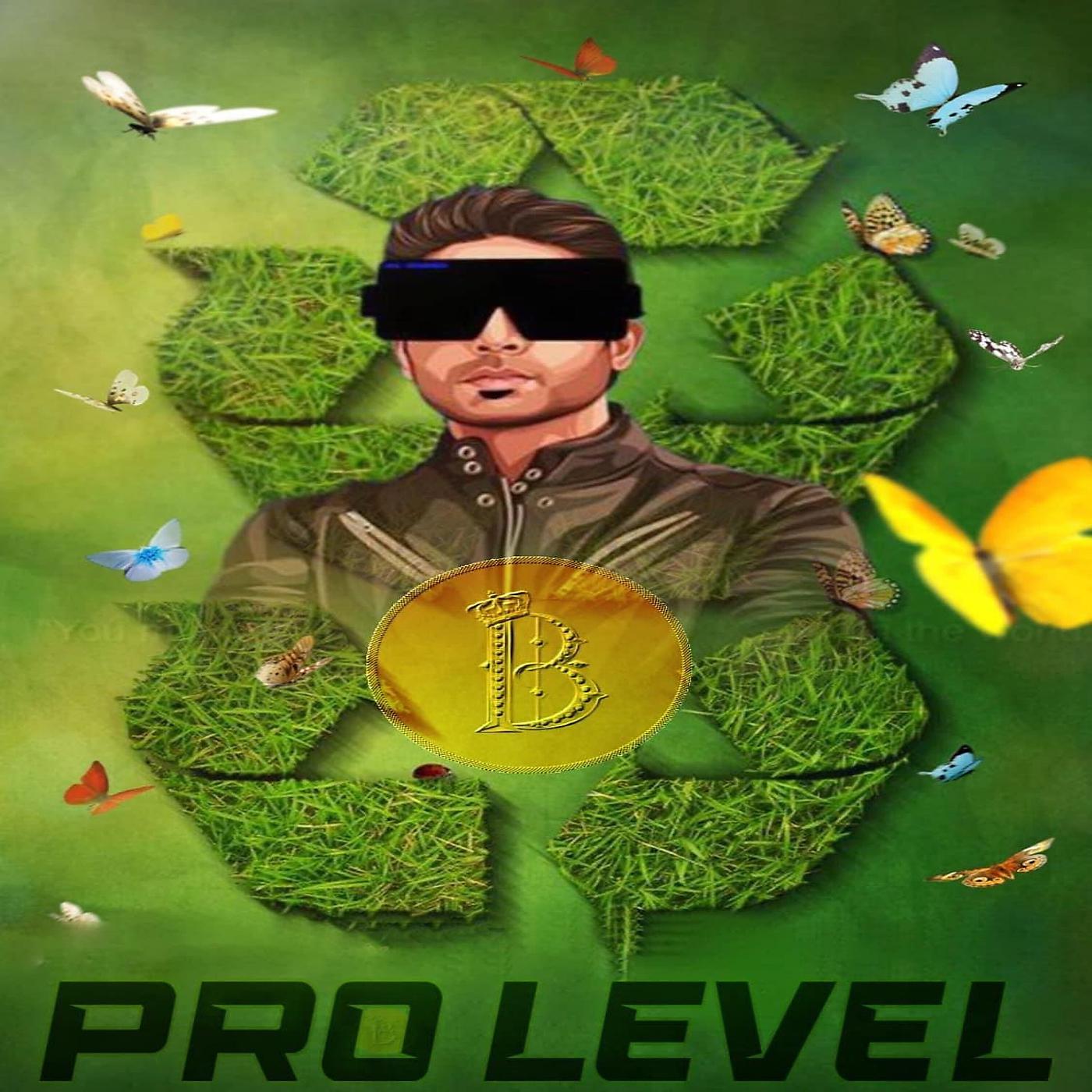 Постер альбома Pro Level