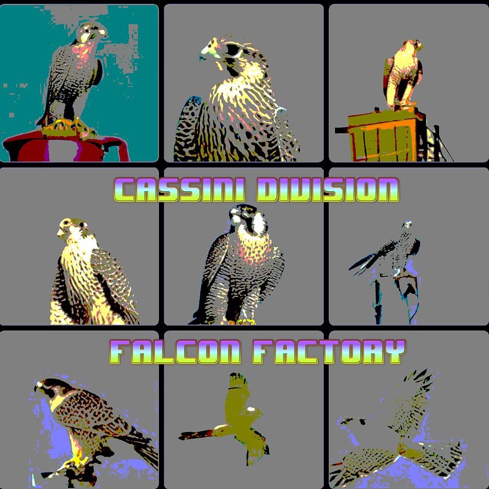 Постер альбома Falcon Factory
