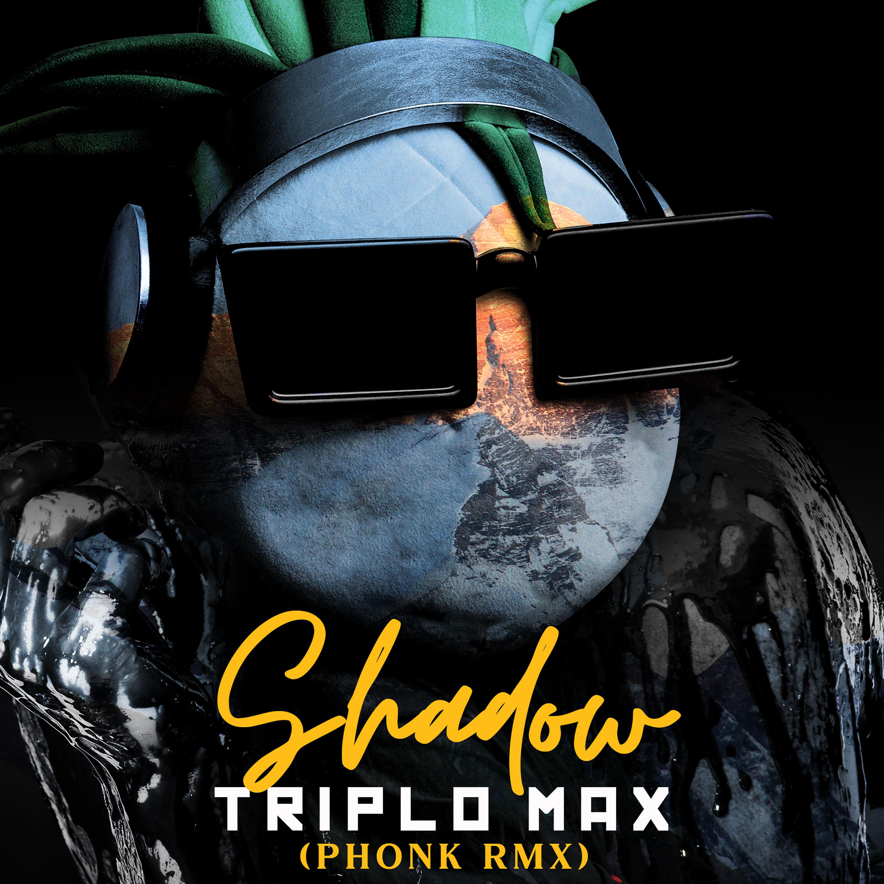 Постер альбома Shadow (Phonk Remix)
