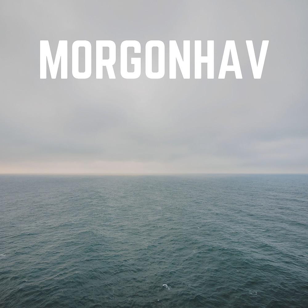Постер альбома Morgonhav