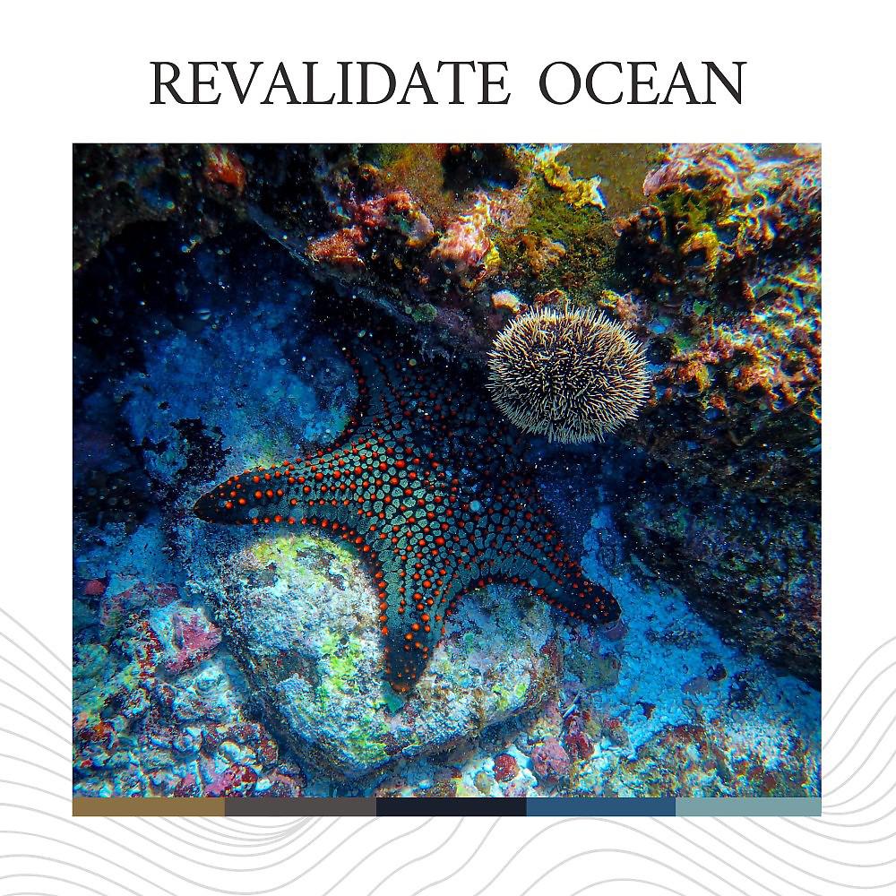 Постер альбома Revalidate Ocean