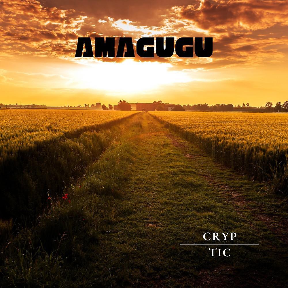 Постер альбома Amagugu