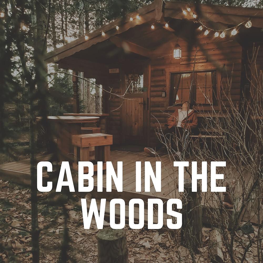 Постер альбома Cabin in the Woods