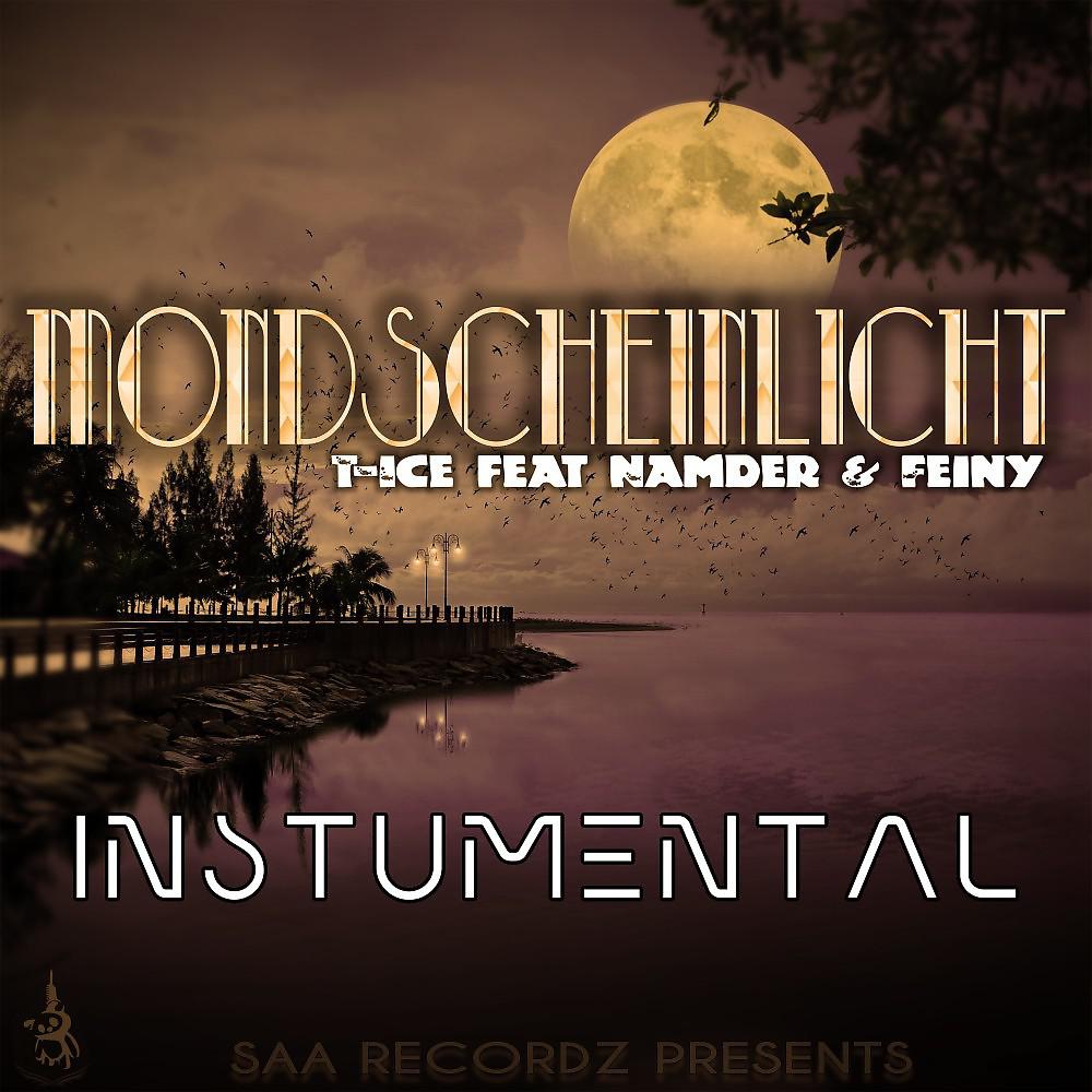Постер альбома Mondscheinlicht - Instrumental