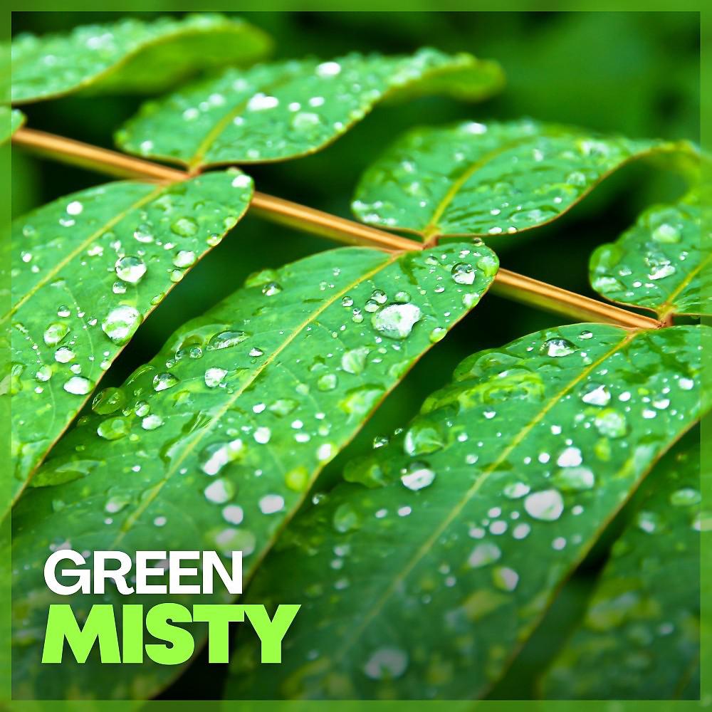 Постер альбома Green Misty