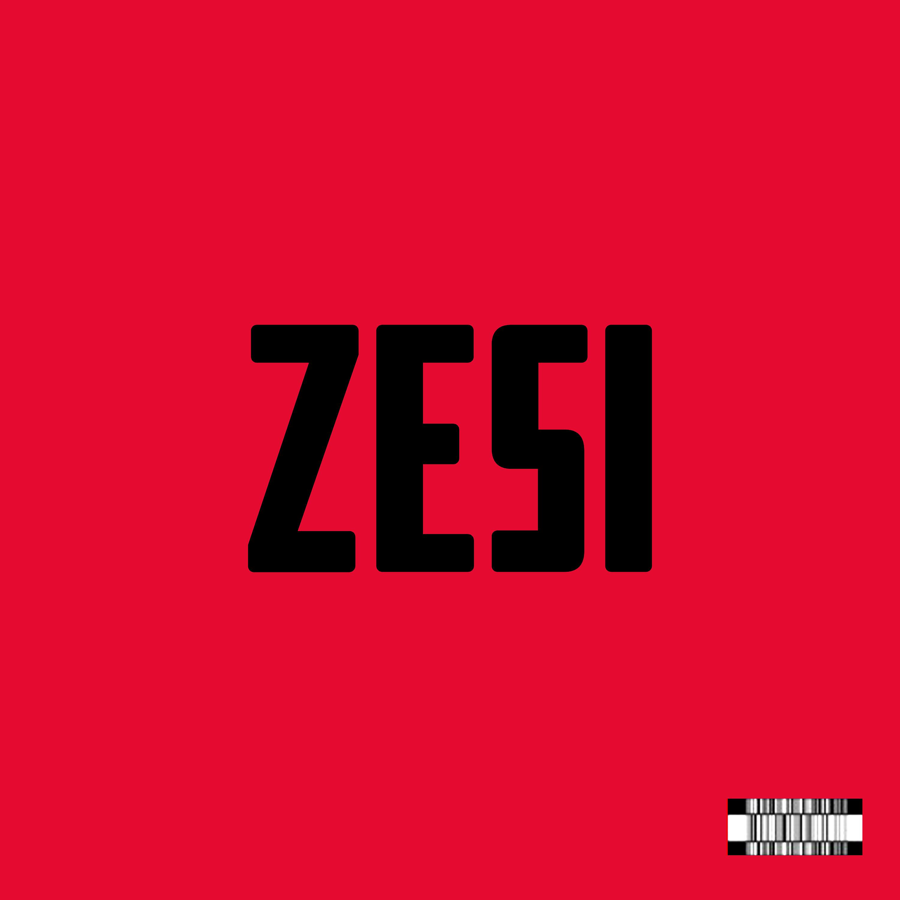 Постер альбома Zesi
