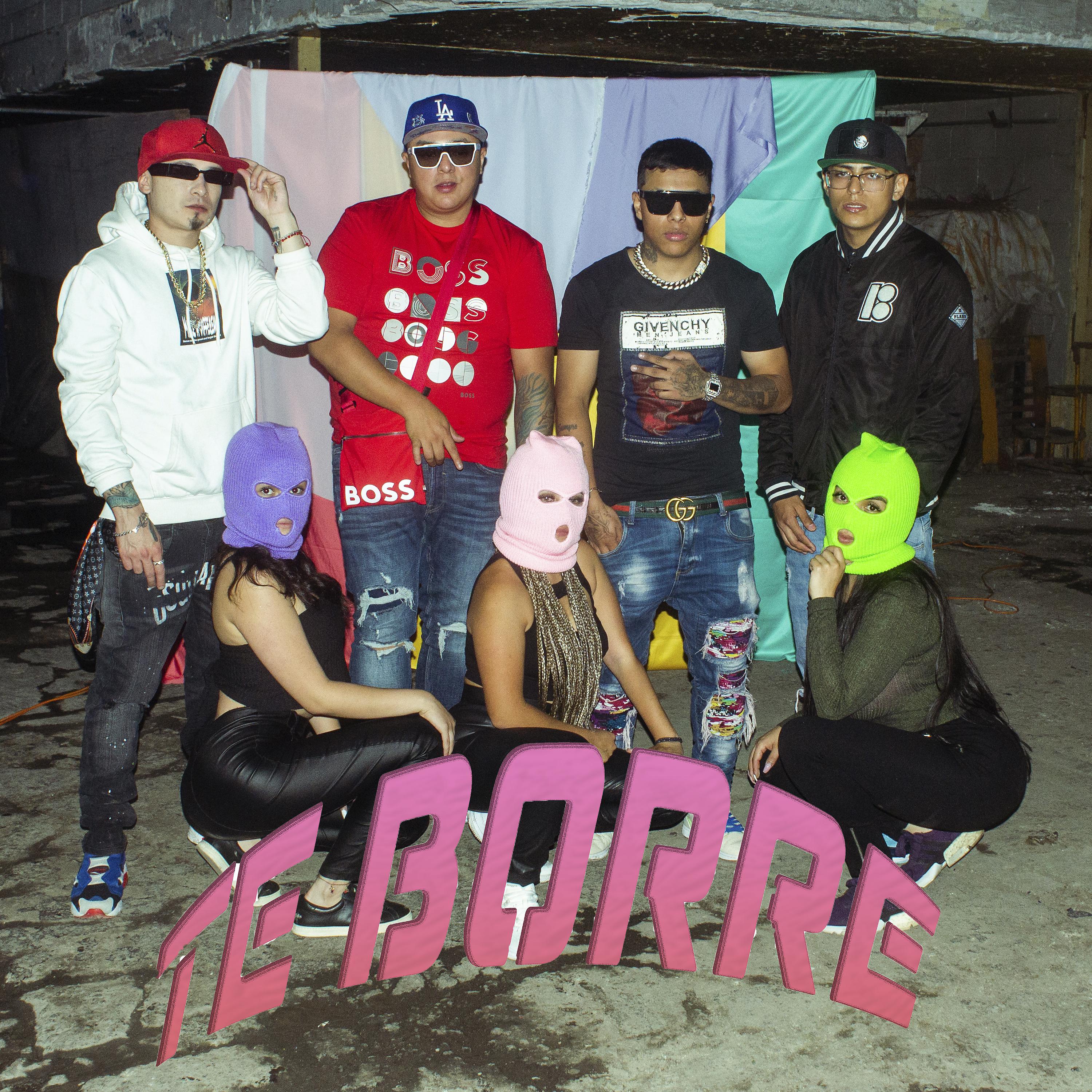 Постер альбома Te Borre