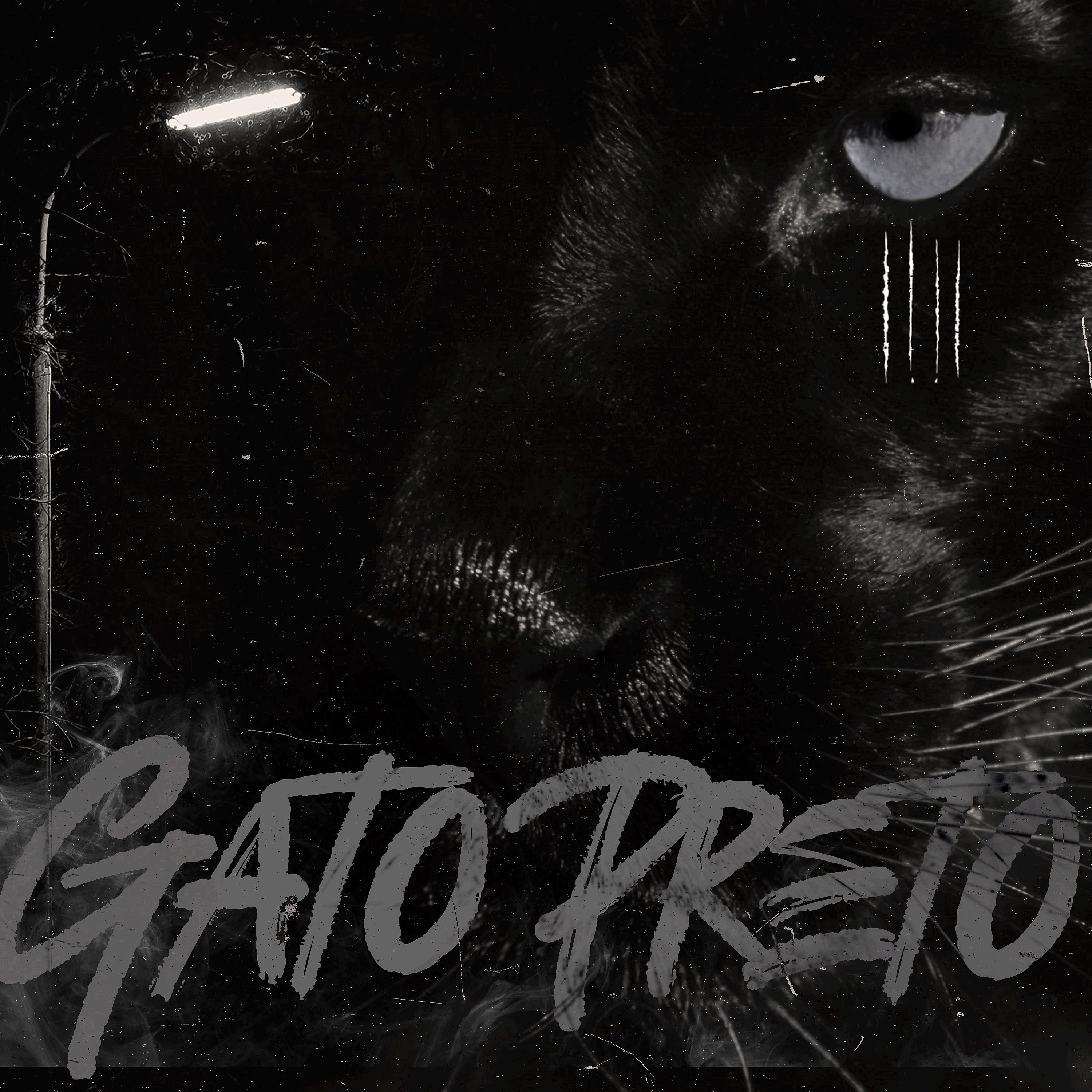 Постер альбома GATO PRETO