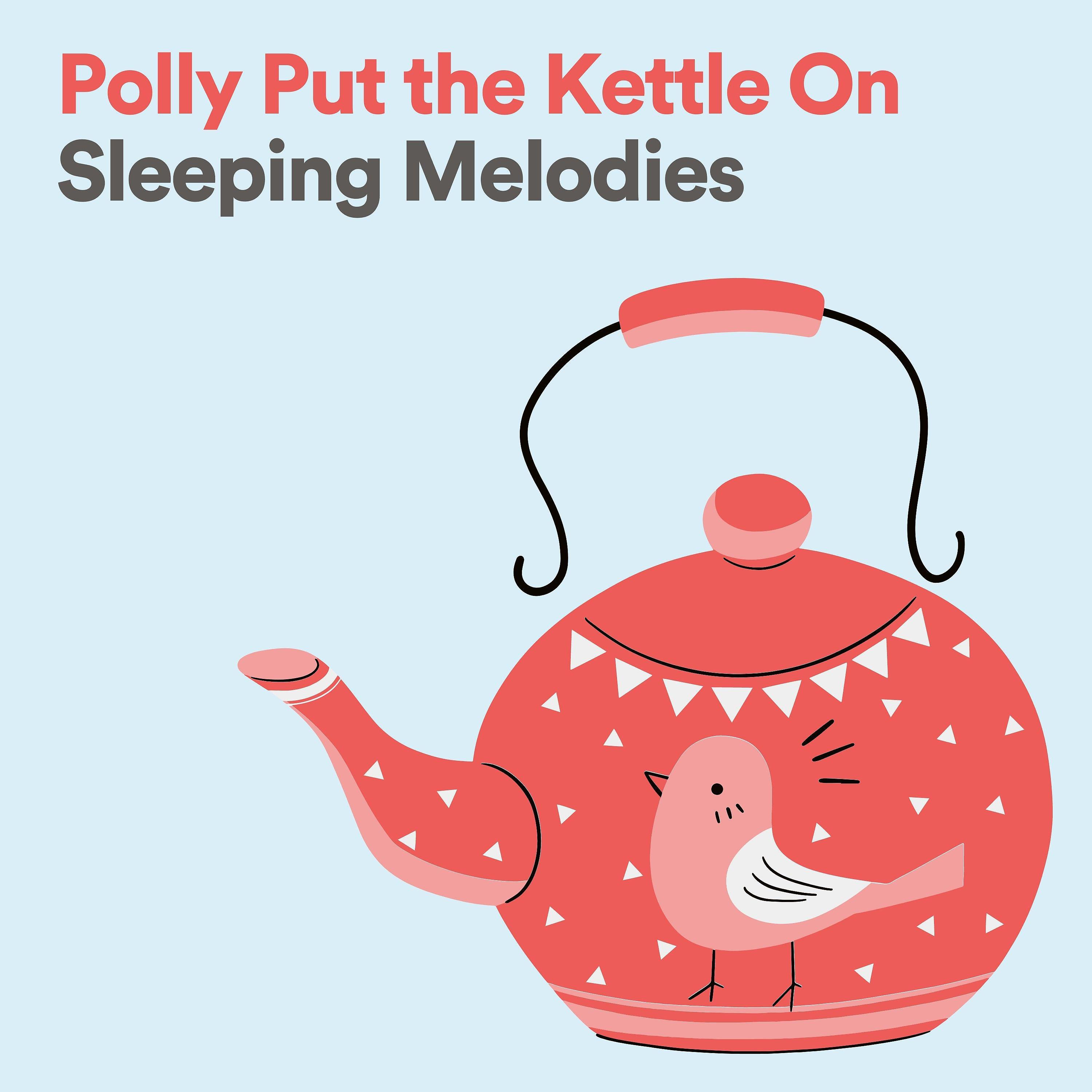 Постер альбома Polly Put the Kettle On Sleeping Melodies