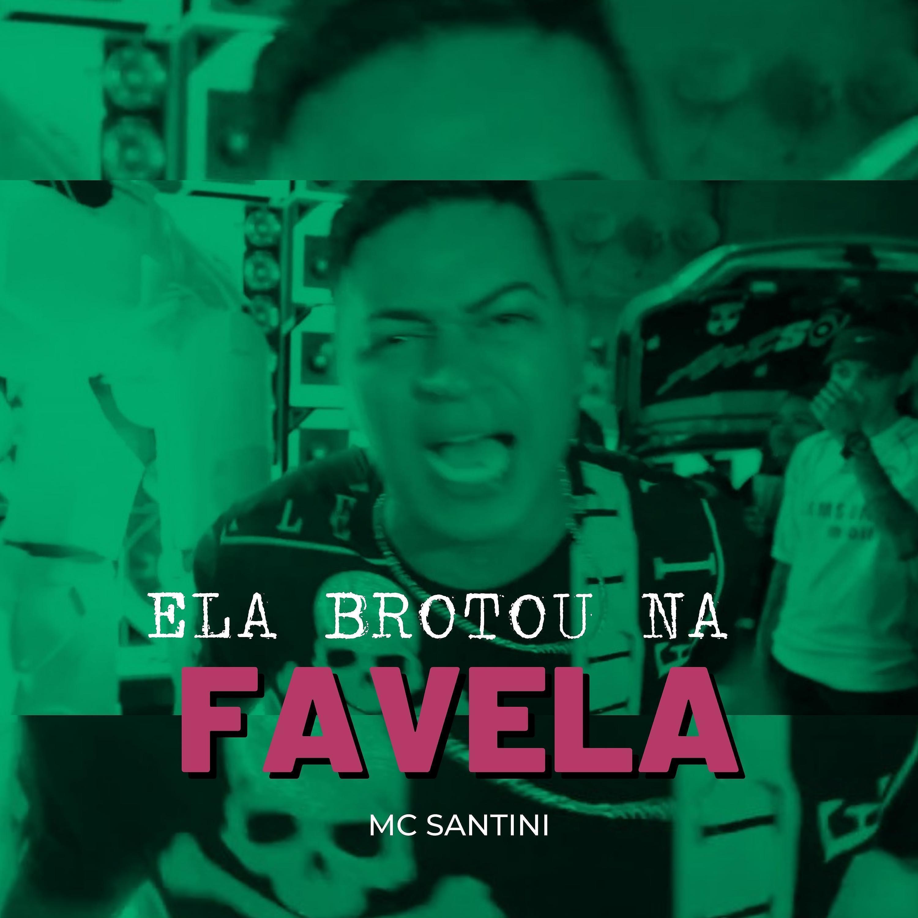 Постер альбома Ela Brotou na Favela