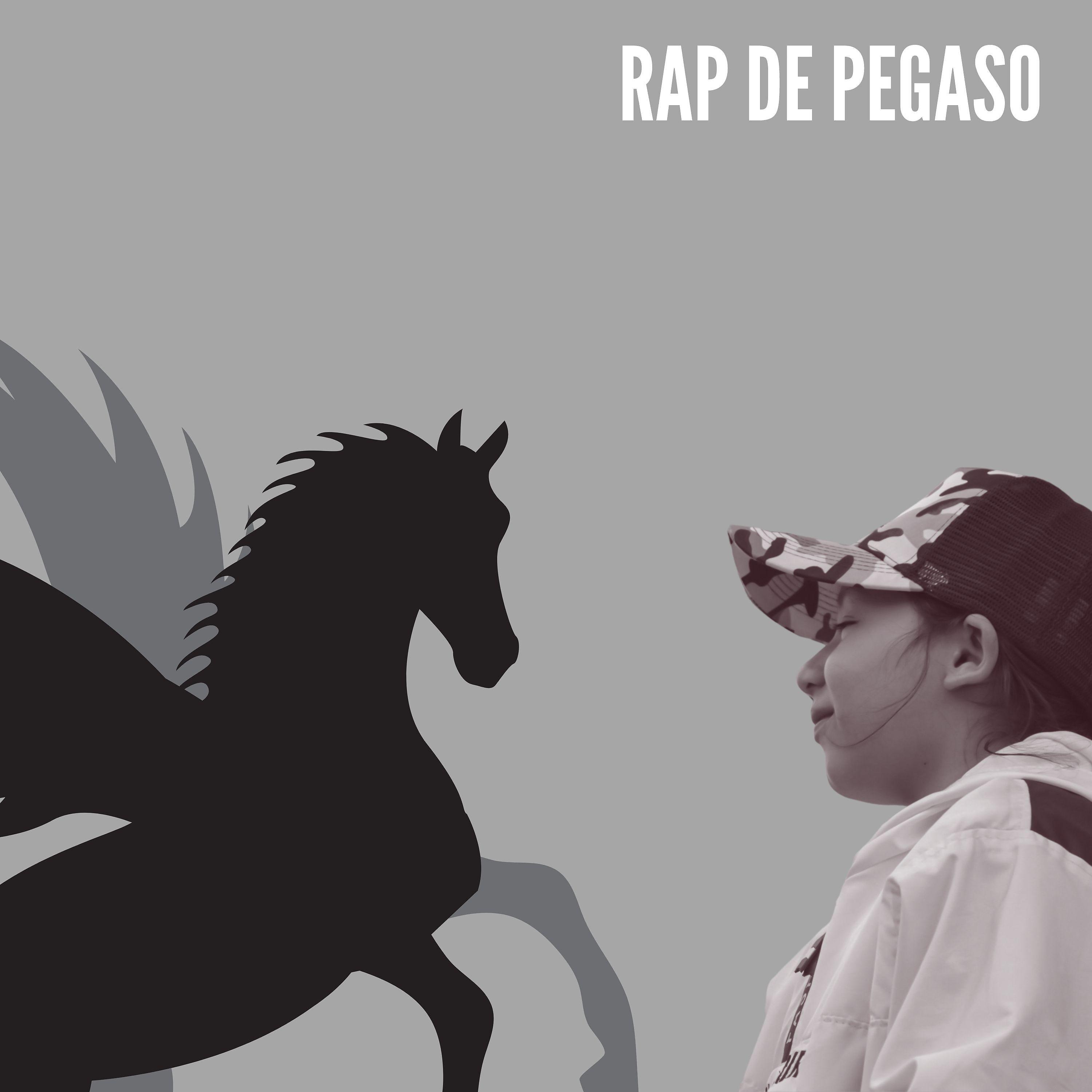 Постер альбома Rap de Pegaso