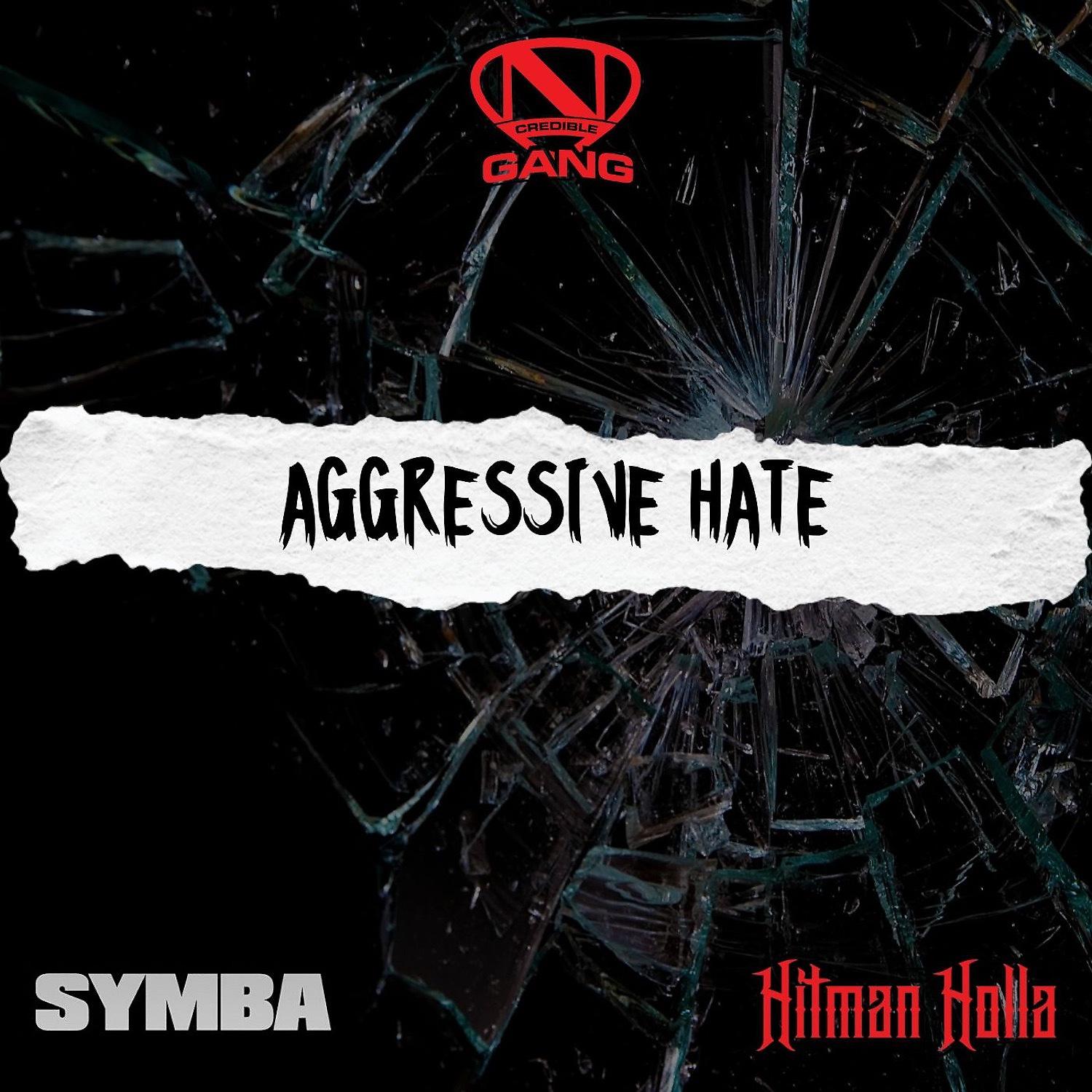 Постер альбома Aggressive Hate (feat. Symba & Hitman Holla )