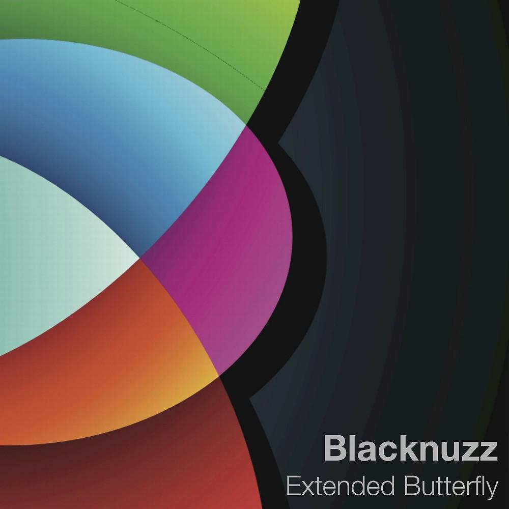 Blacknuzz - Hollow Man