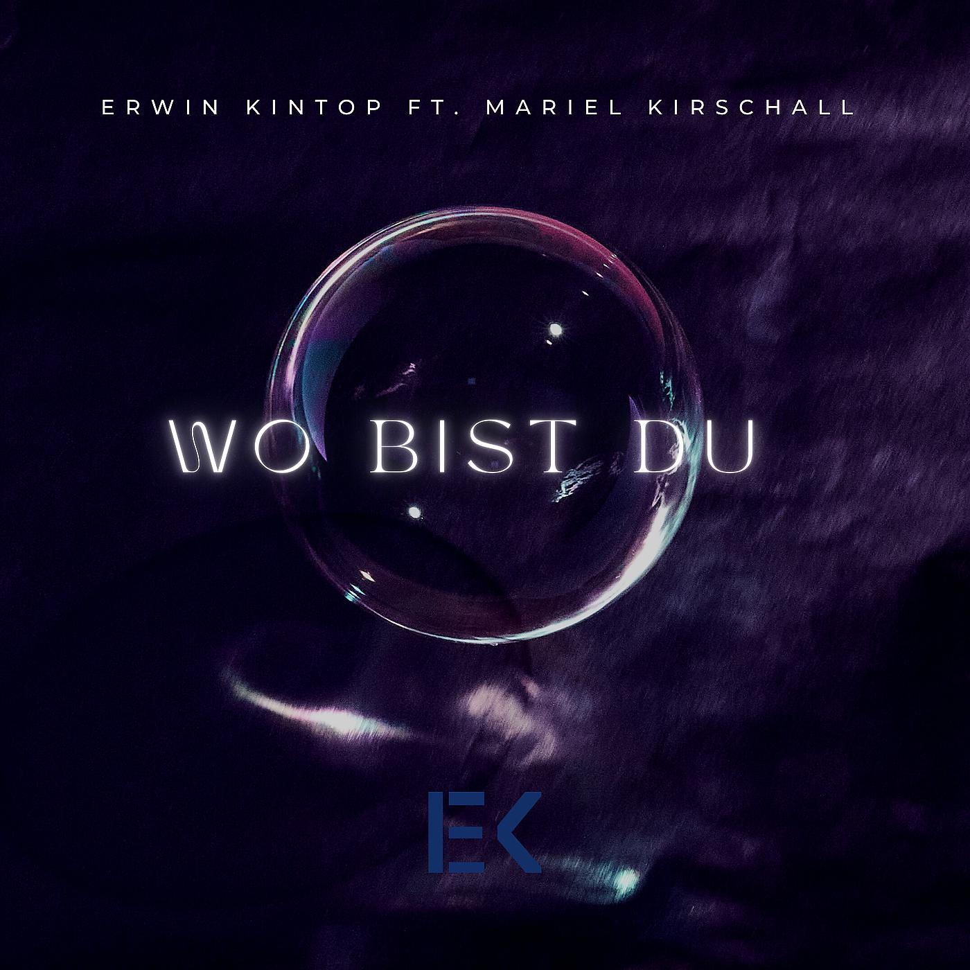 Постер альбома Wo Bist Du