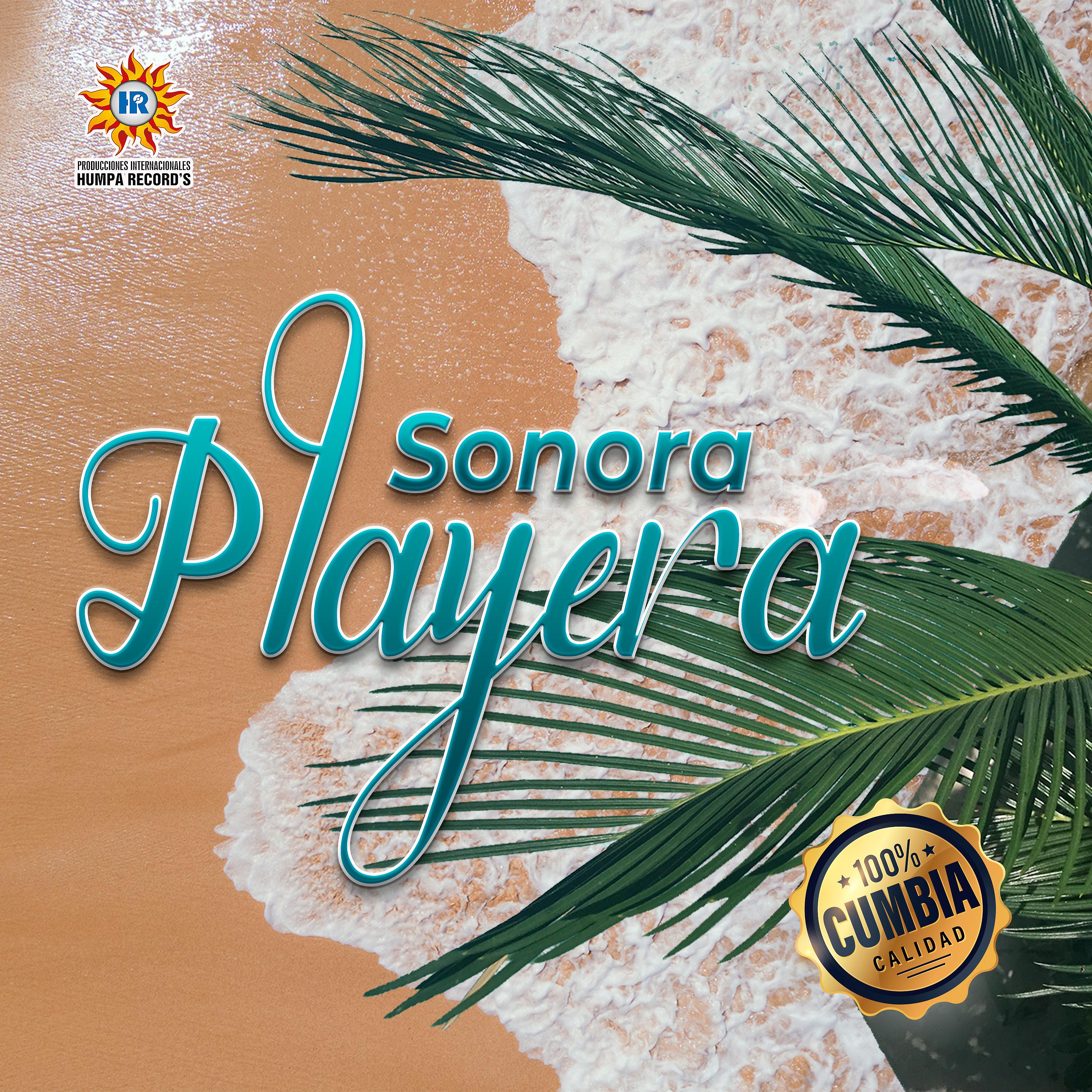 Постер альбома Sonora Playera