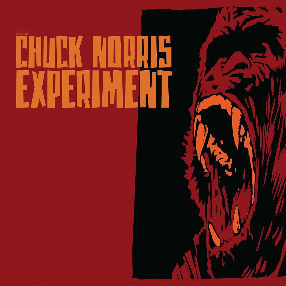 Постер альбома Chuck Norris Experiment