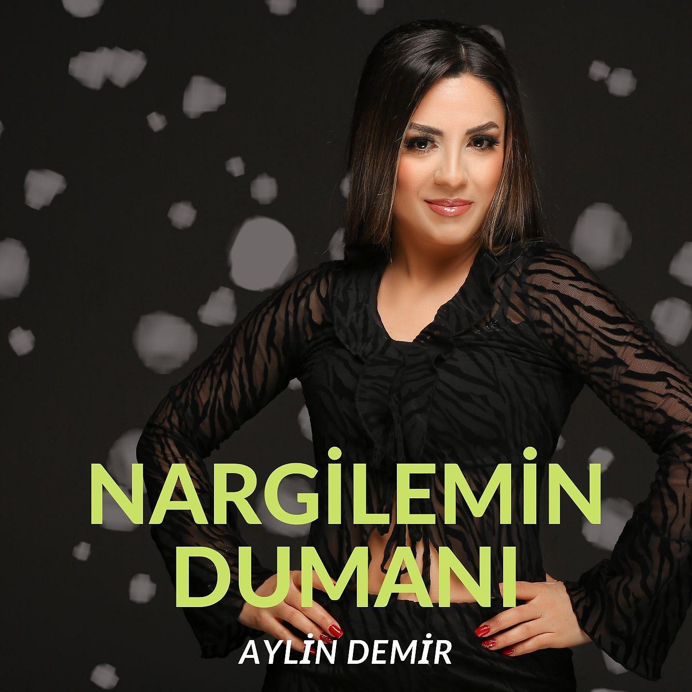 Постер альбома Nargilemin Dumanı