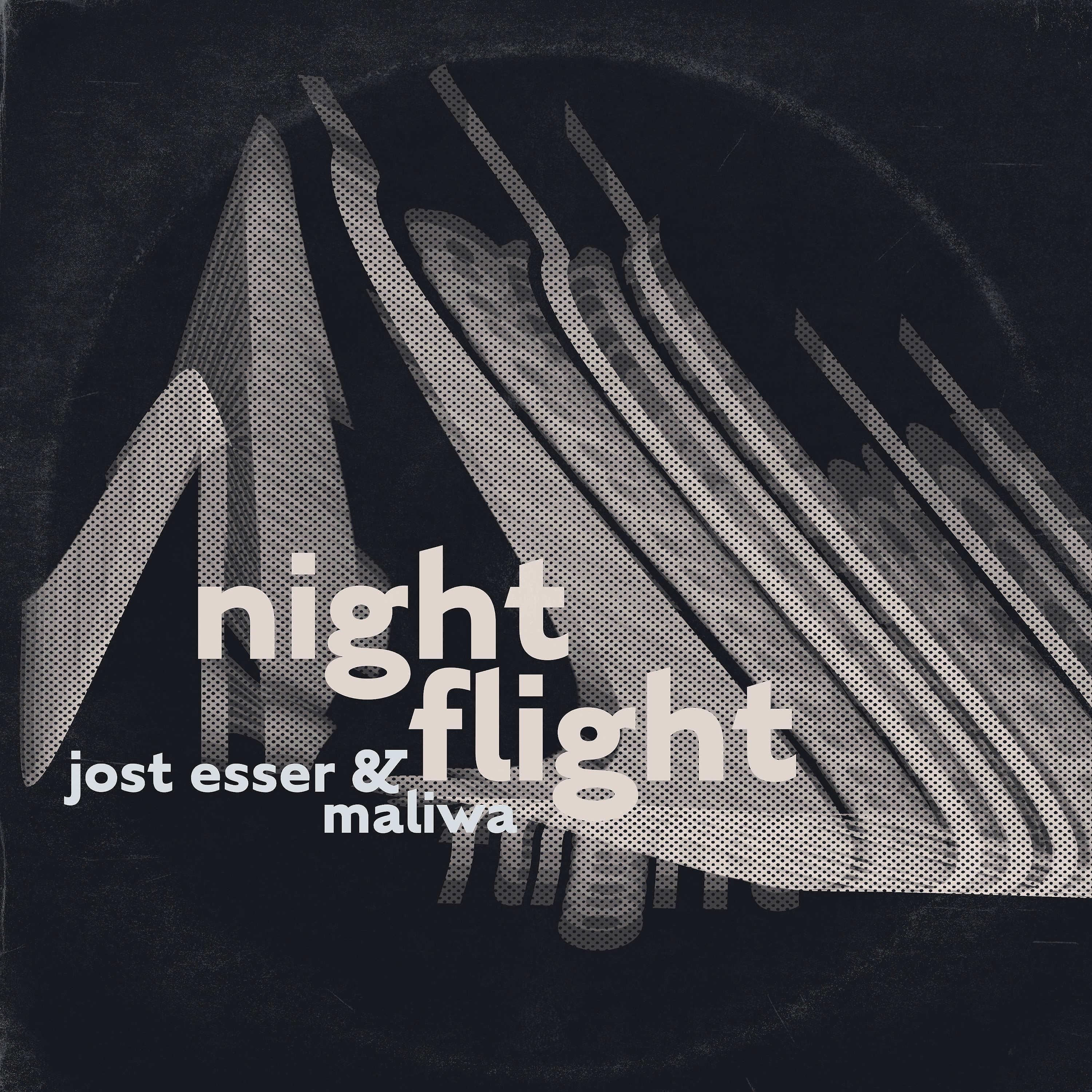 Постер альбома night flight