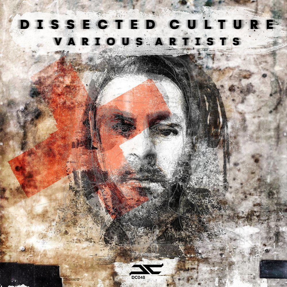 Постер альбома Dissected Culture Various Artists