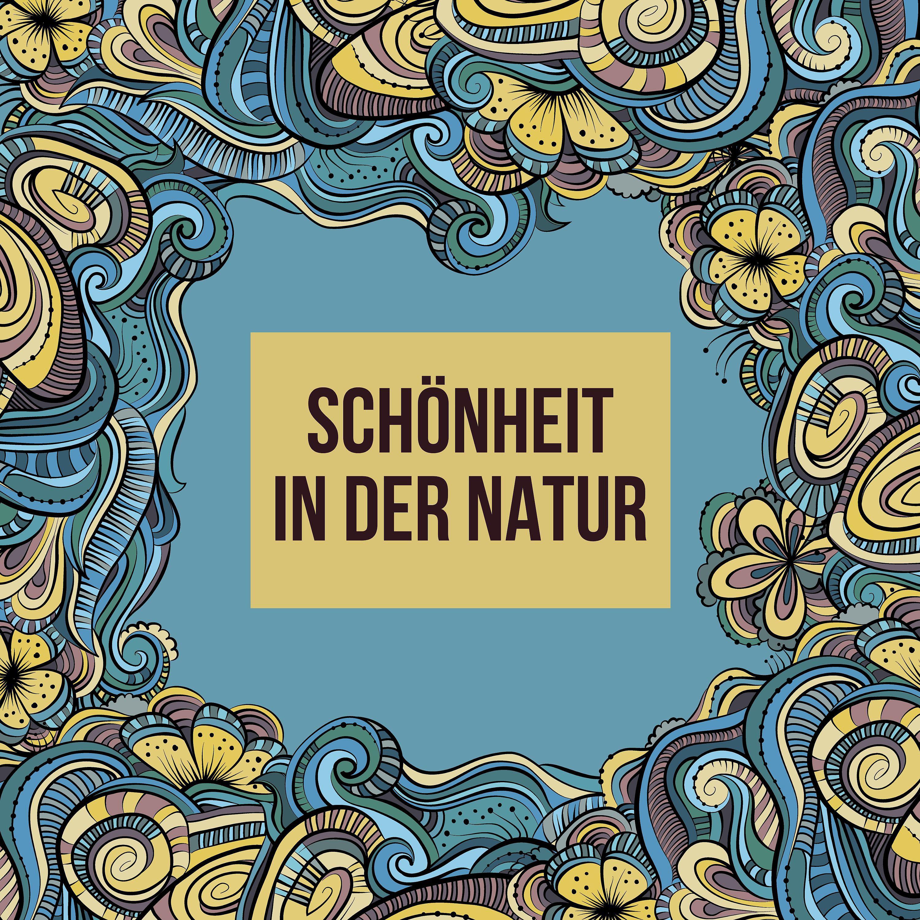 Постер альбома Schönheit in der Natur