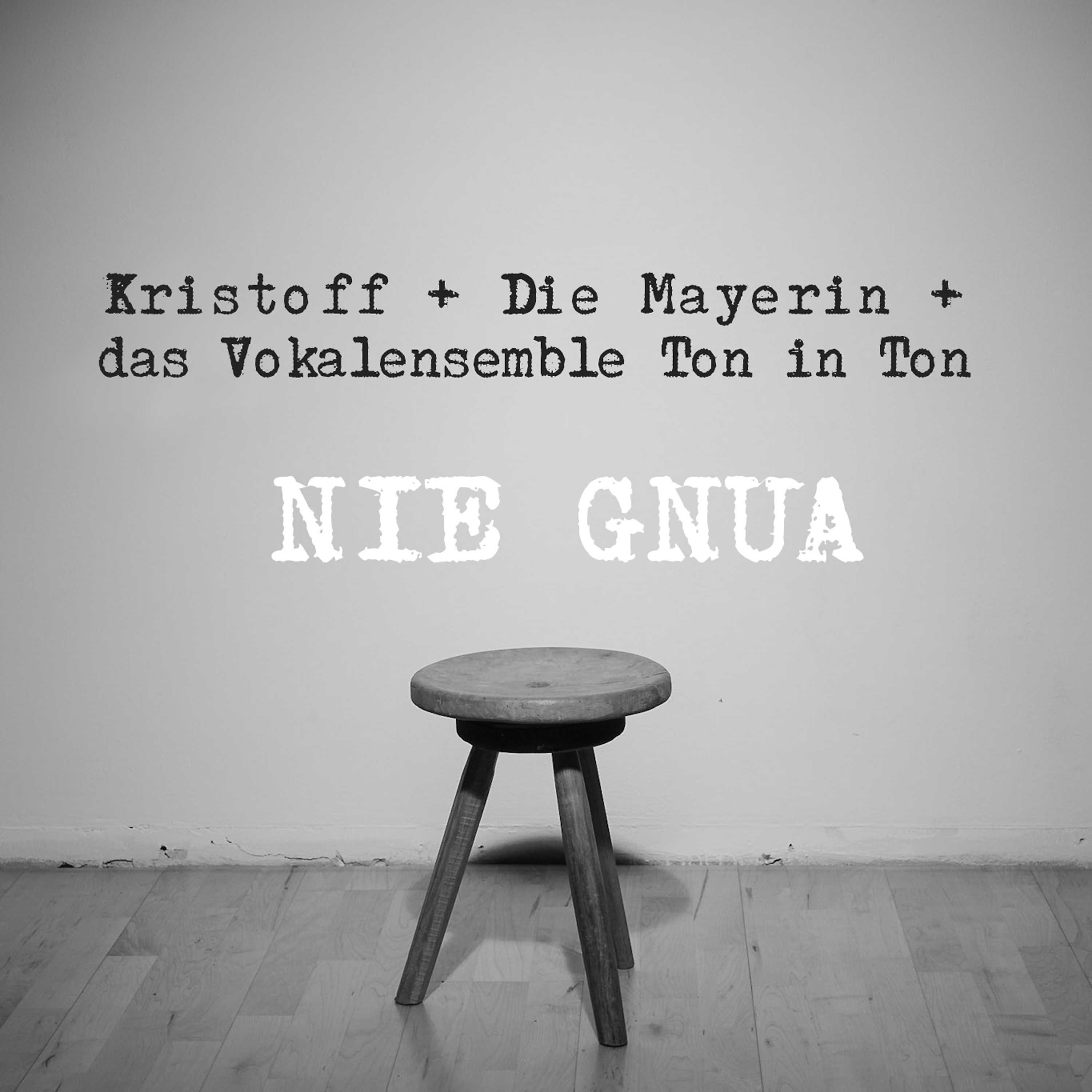 Постер альбома Nie Gnua