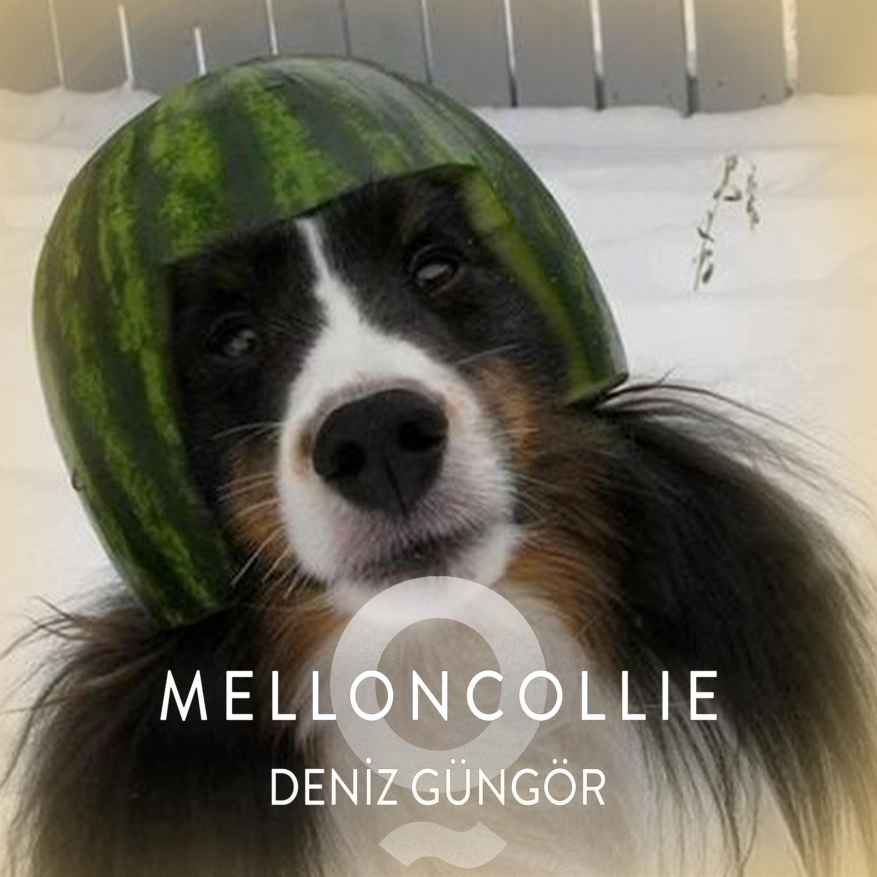 Постер альбома Melloncollie