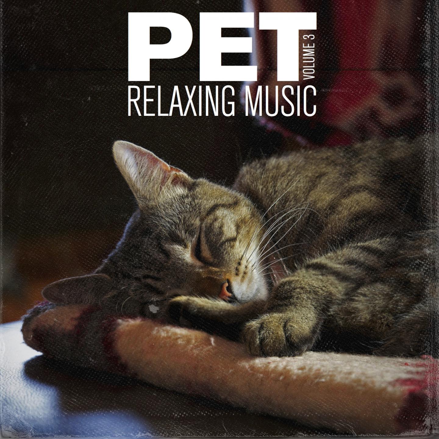Постер альбома Pet Relaxing Music, Vol. 3