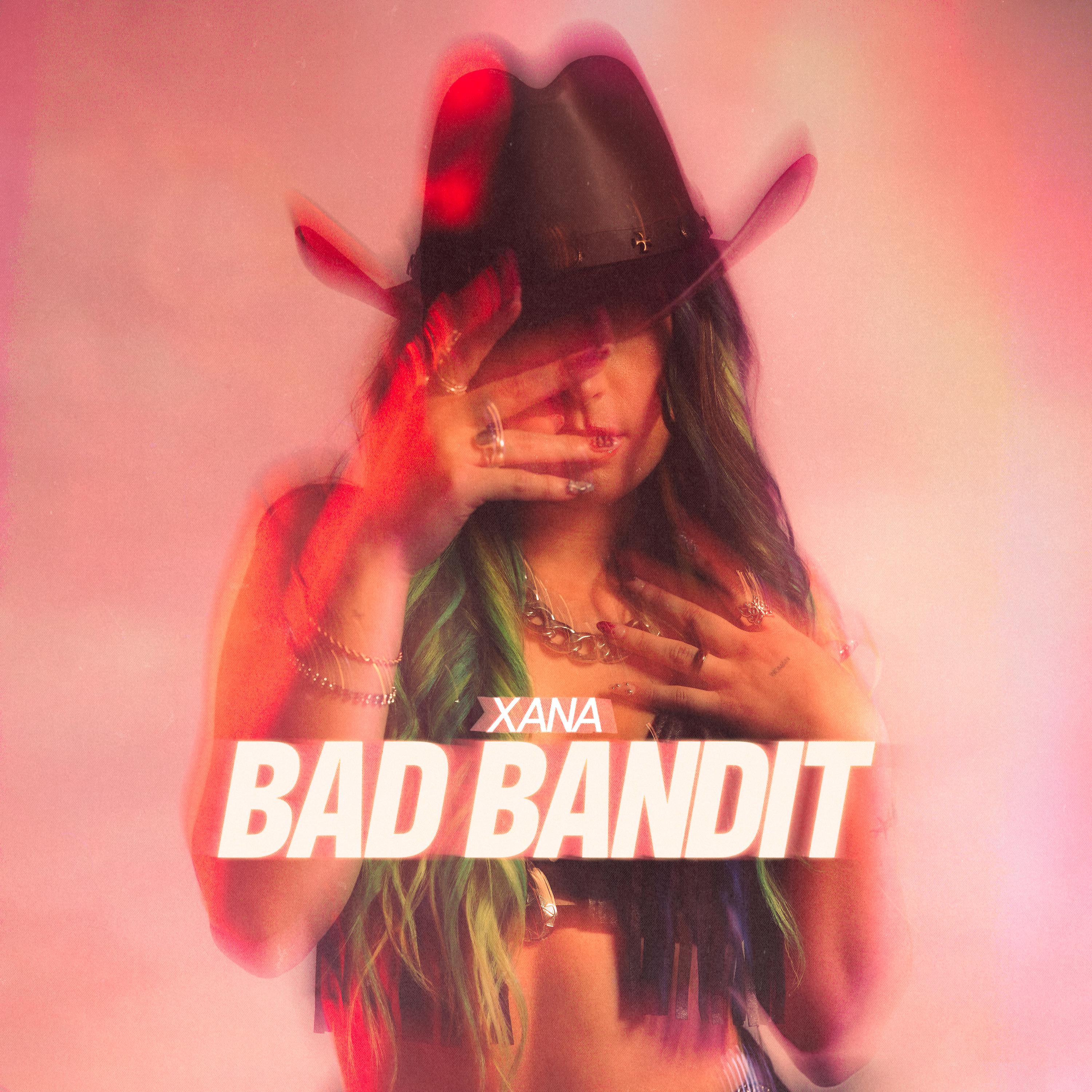 Постер альбома Bad Bandit