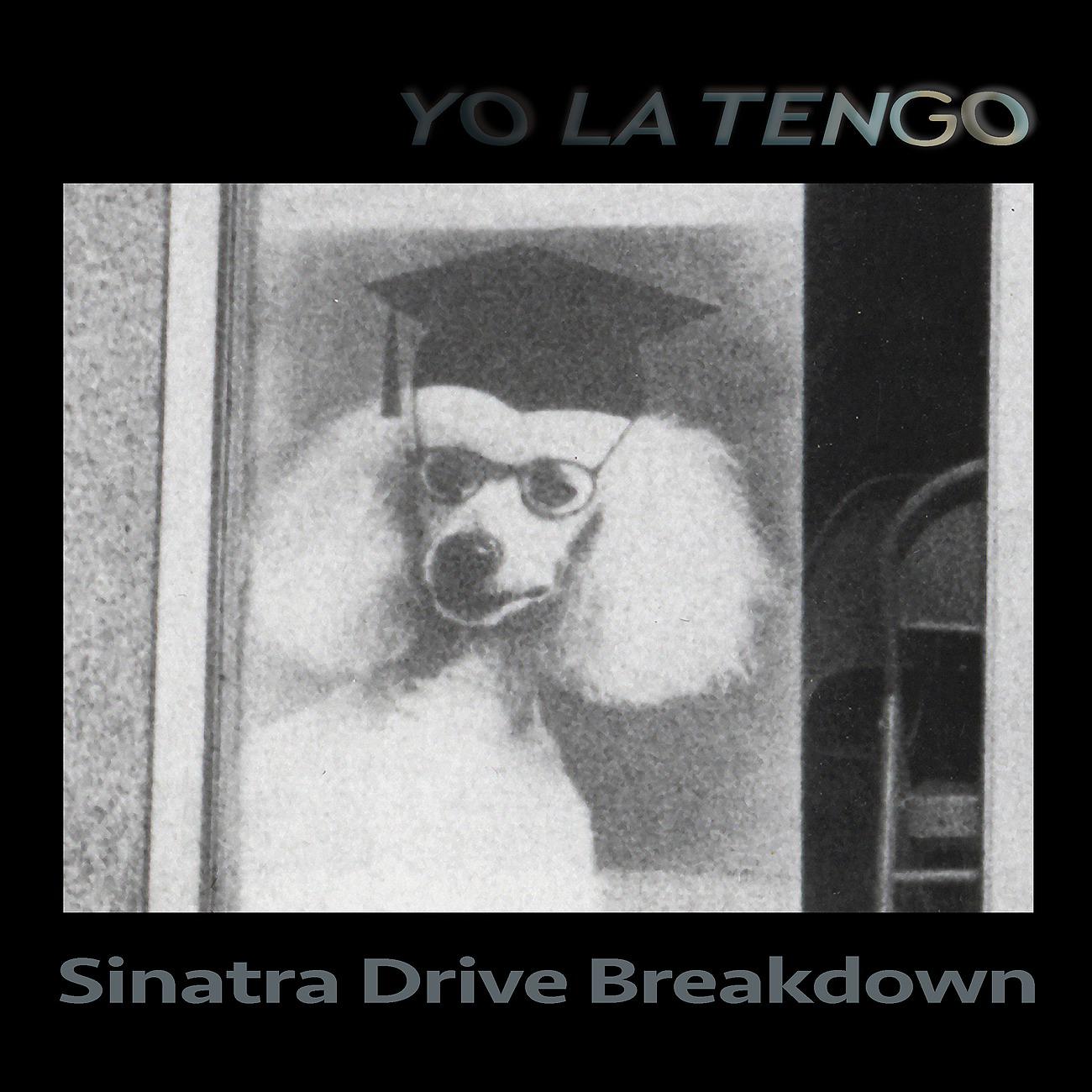 Постер альбома Sinatra Drive Breakdown