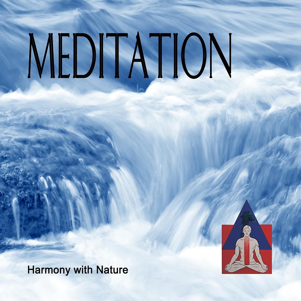 Постер альбома Meditation - Harmony with Nature