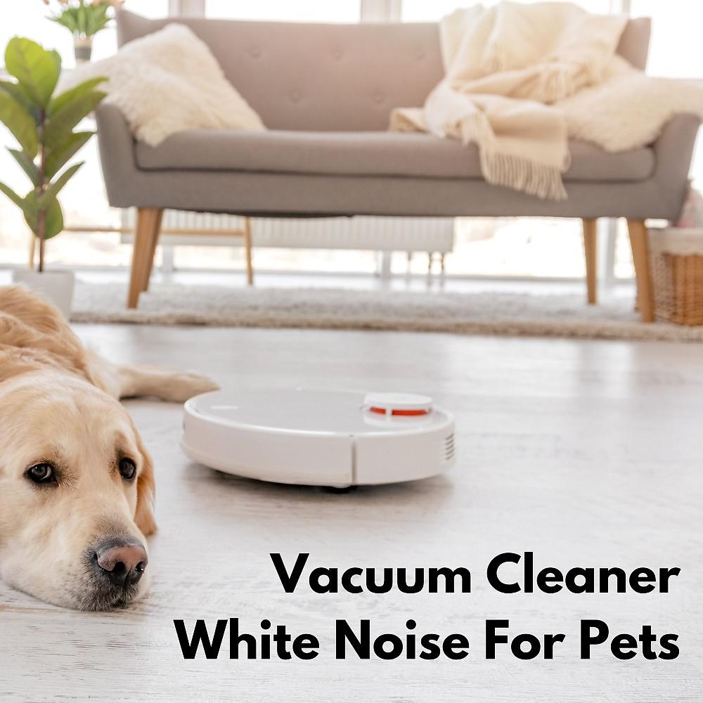 Постер альбома Vacuum Cleaner White Noise for Pets