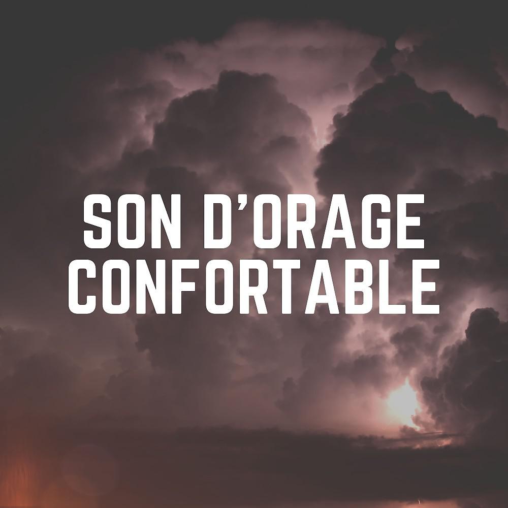 Постер альбома Son D'orage Confortable