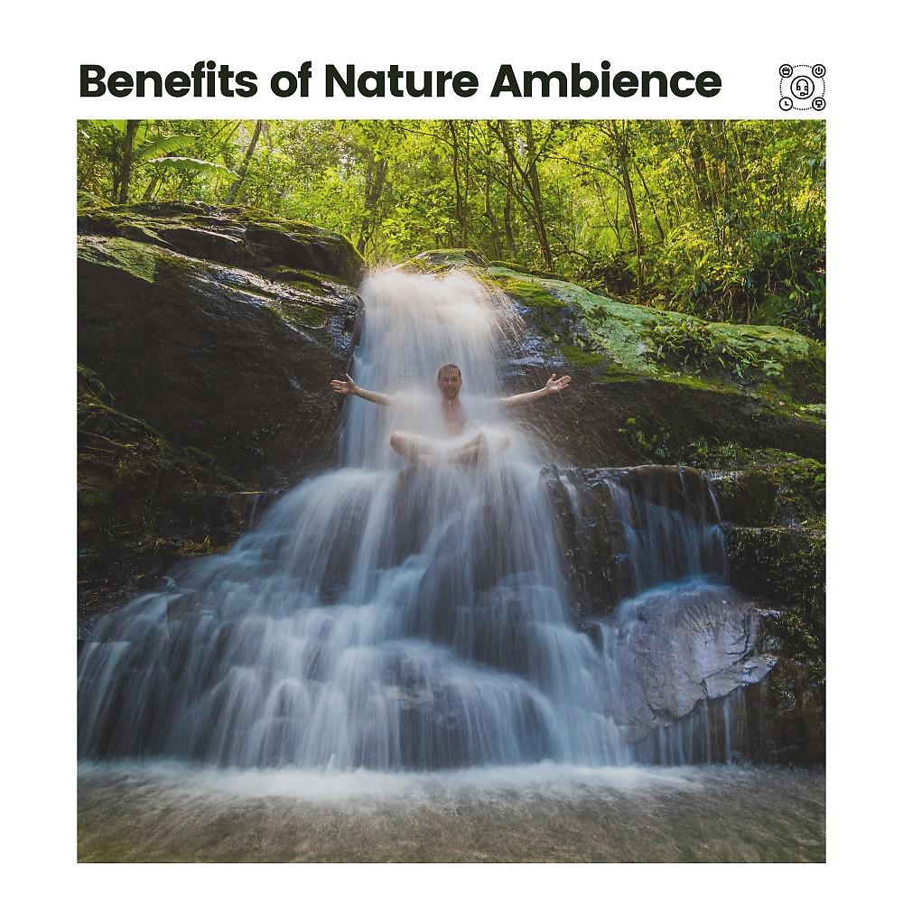 Постер альбома Benefits of Nature Ambience