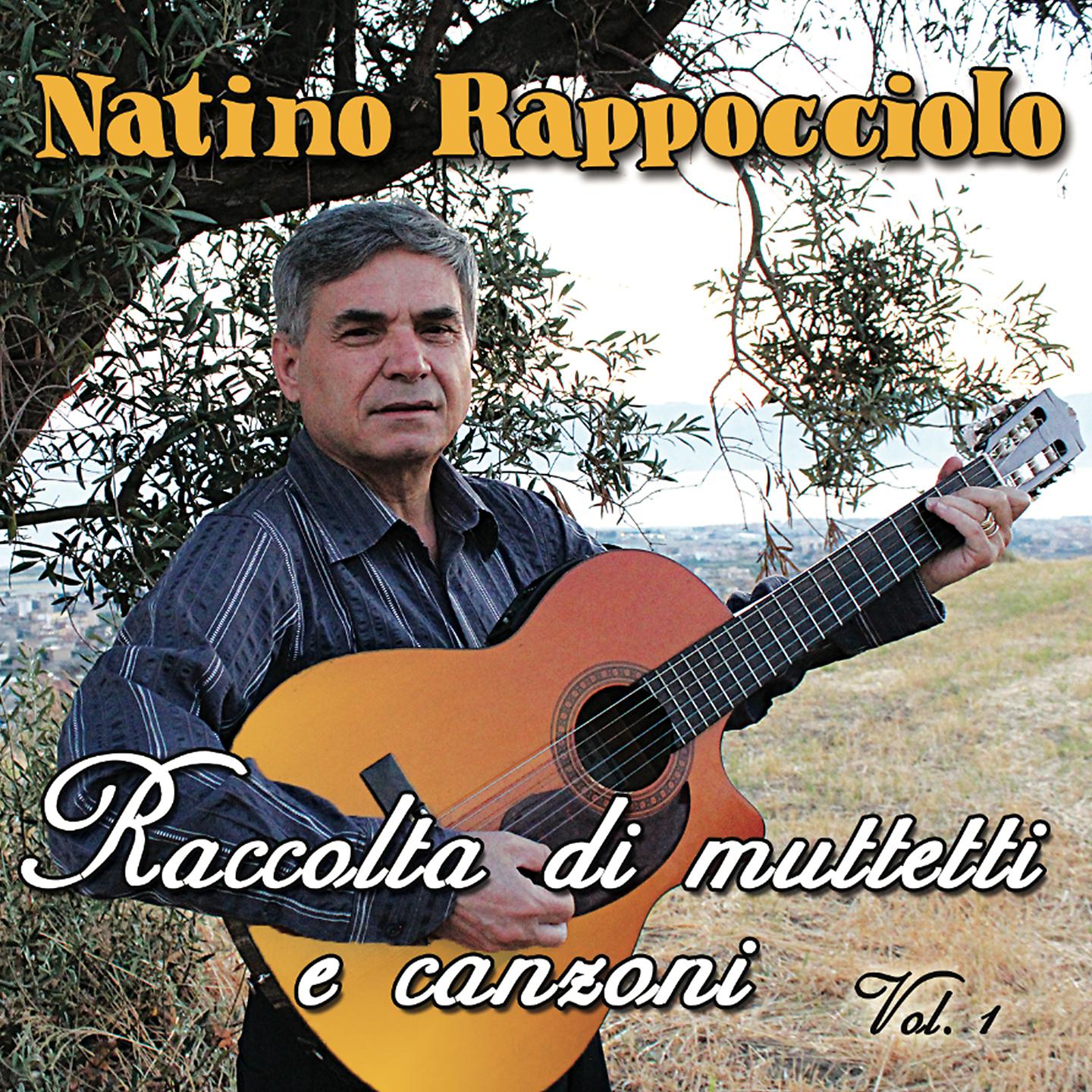 Постер альбома Raccolta di muttetti e canzoni, Vol. 1